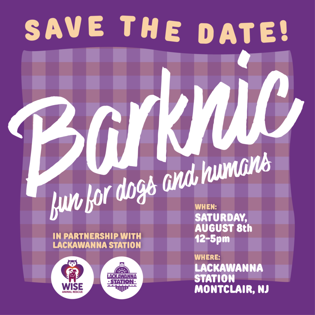 Barknic: Fun for dogs &amp; humans