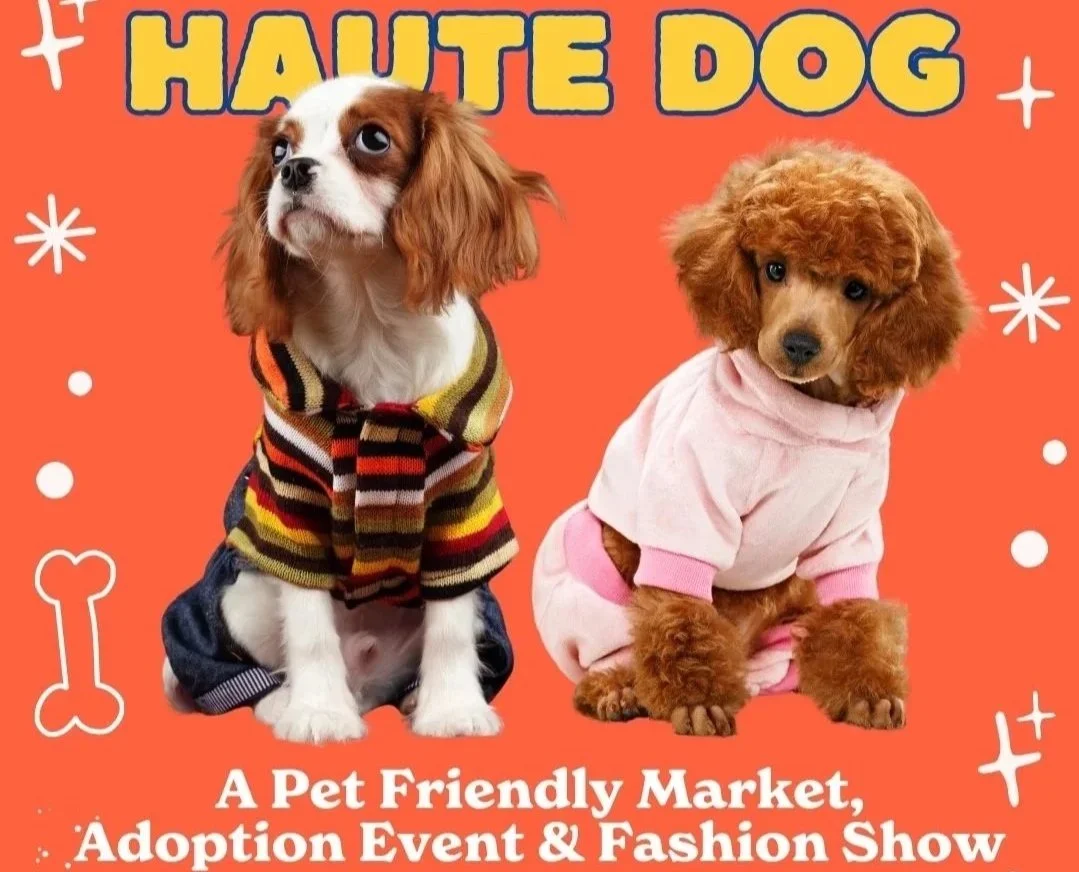 Yoga with puppies &amp; Haute Dog Market/Adoption Event
