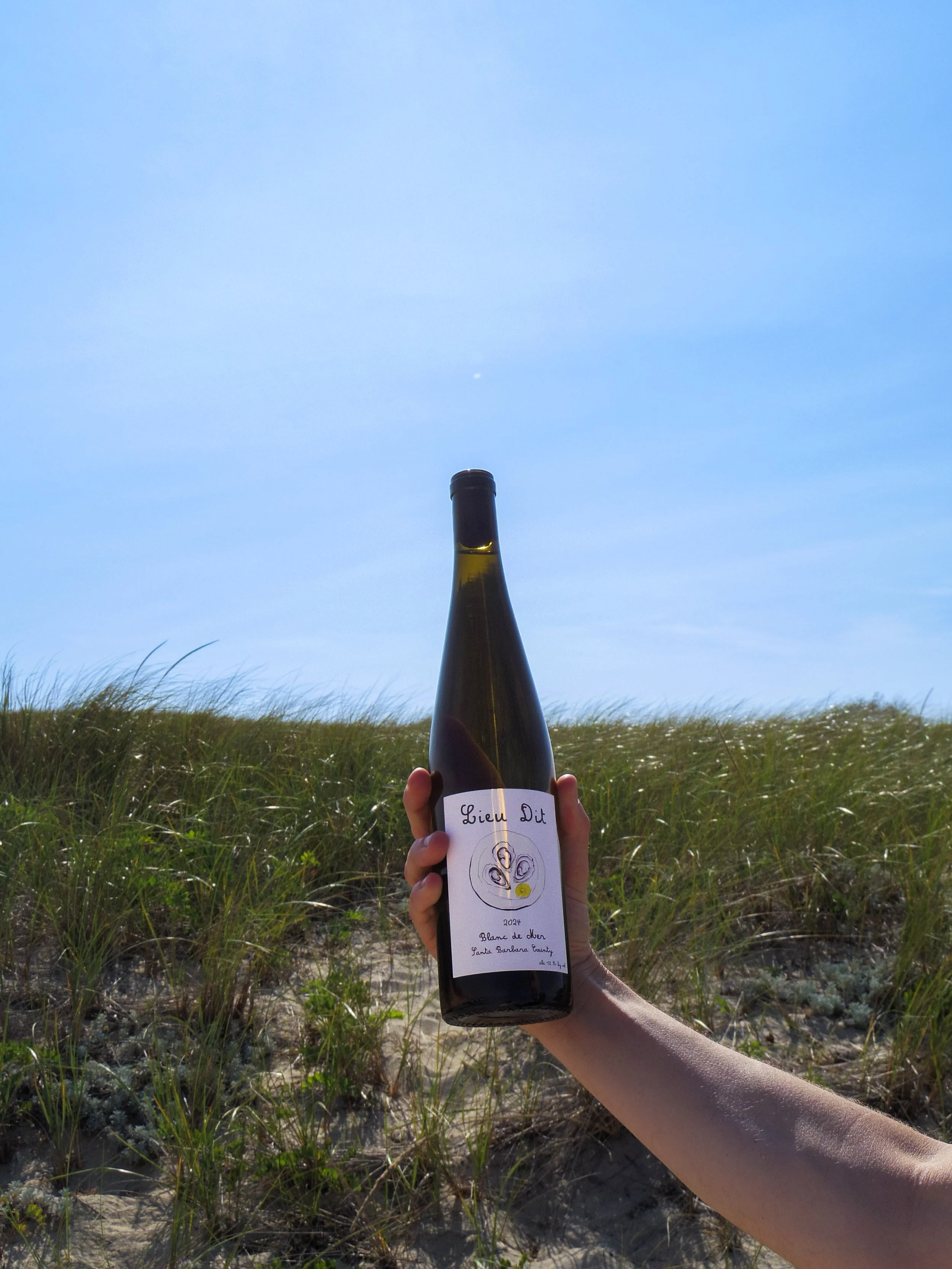 A person is holding a wine bottle labeled 'Lieu Dit' in front of a blue sky, with grassy dunes of a beach in the background.