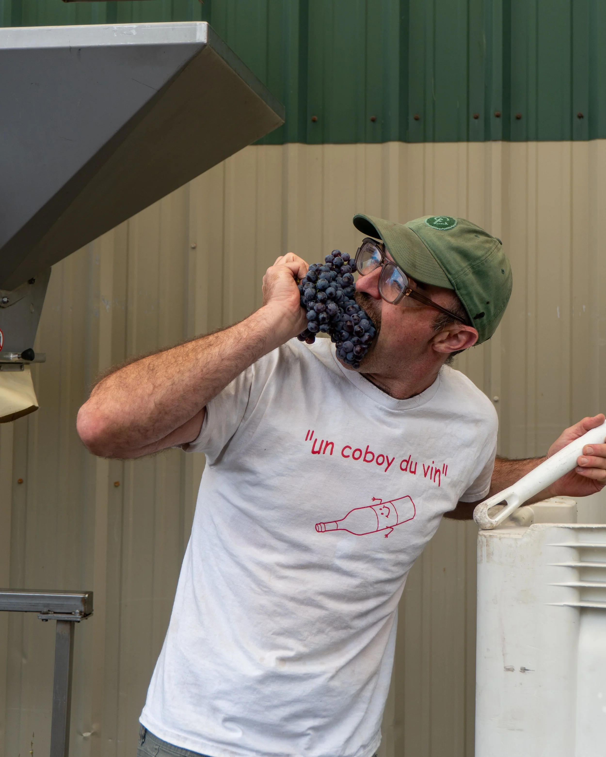 A man with glasses and a green cap eating a bunch of grapes.
