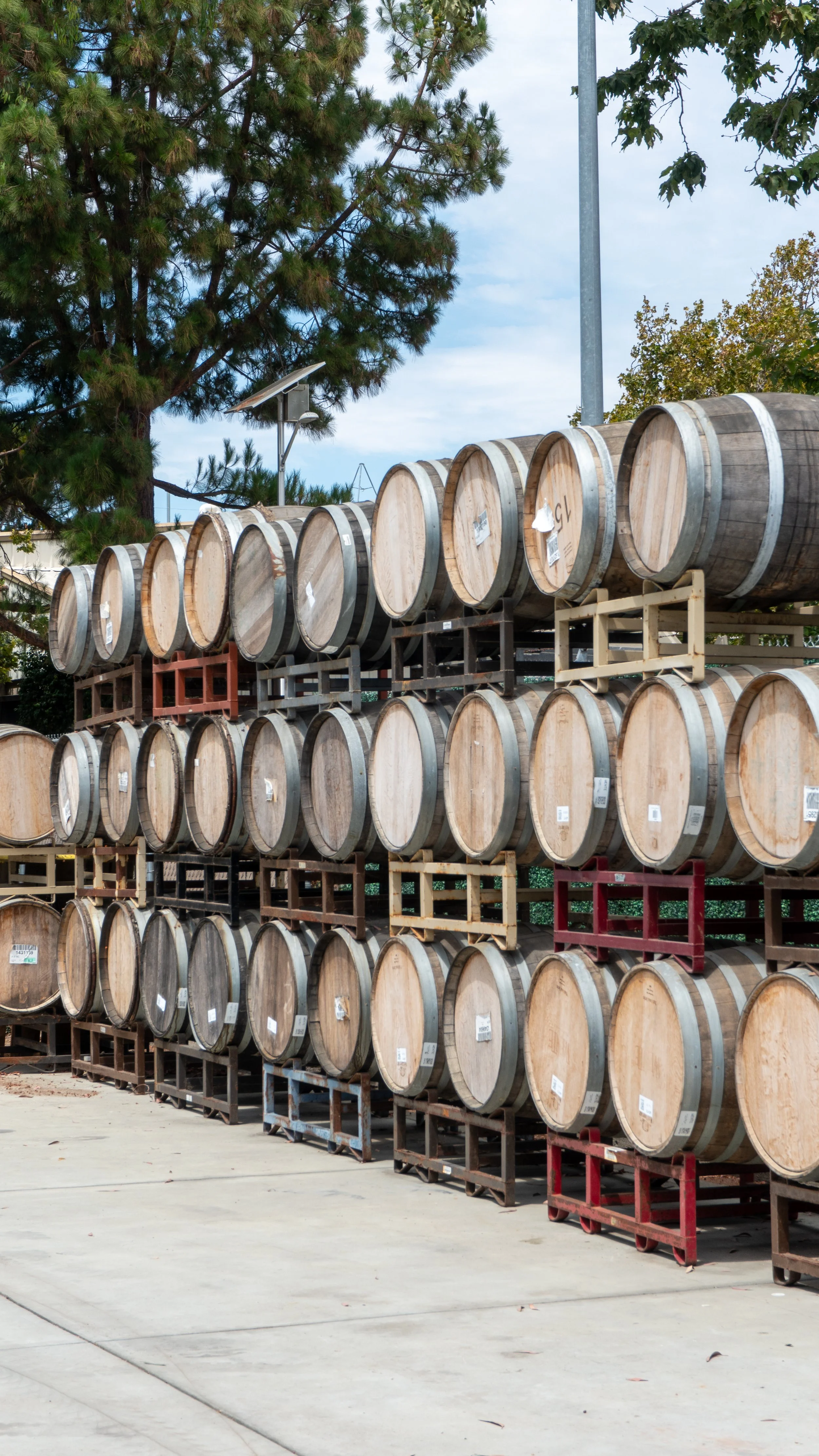 Multiple wooden barrels stacked on racks outdoors with trees and a cloudy sky in the background.