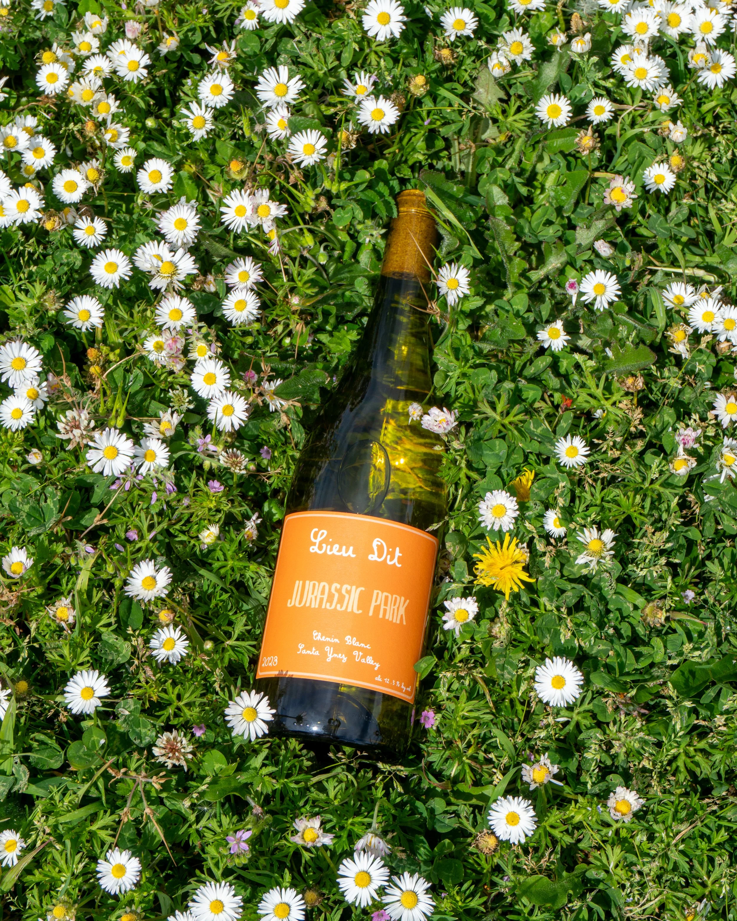 A partially visible wine bottle lying in green grass filled with small white daisies and yellow dandelions.