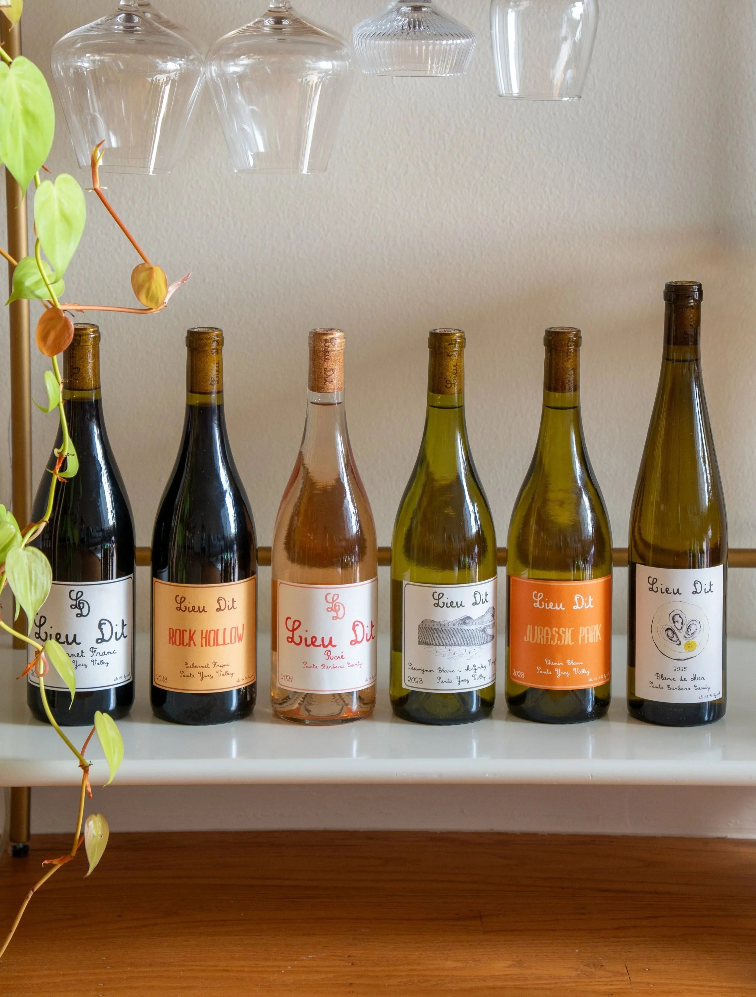 Six wine bottles with labels, displayed on a wooden shelf against a beige wall. Glassware hangs above the bottles, and a green plant with pinkish-orange stems and leaves is partially visible on the left side.