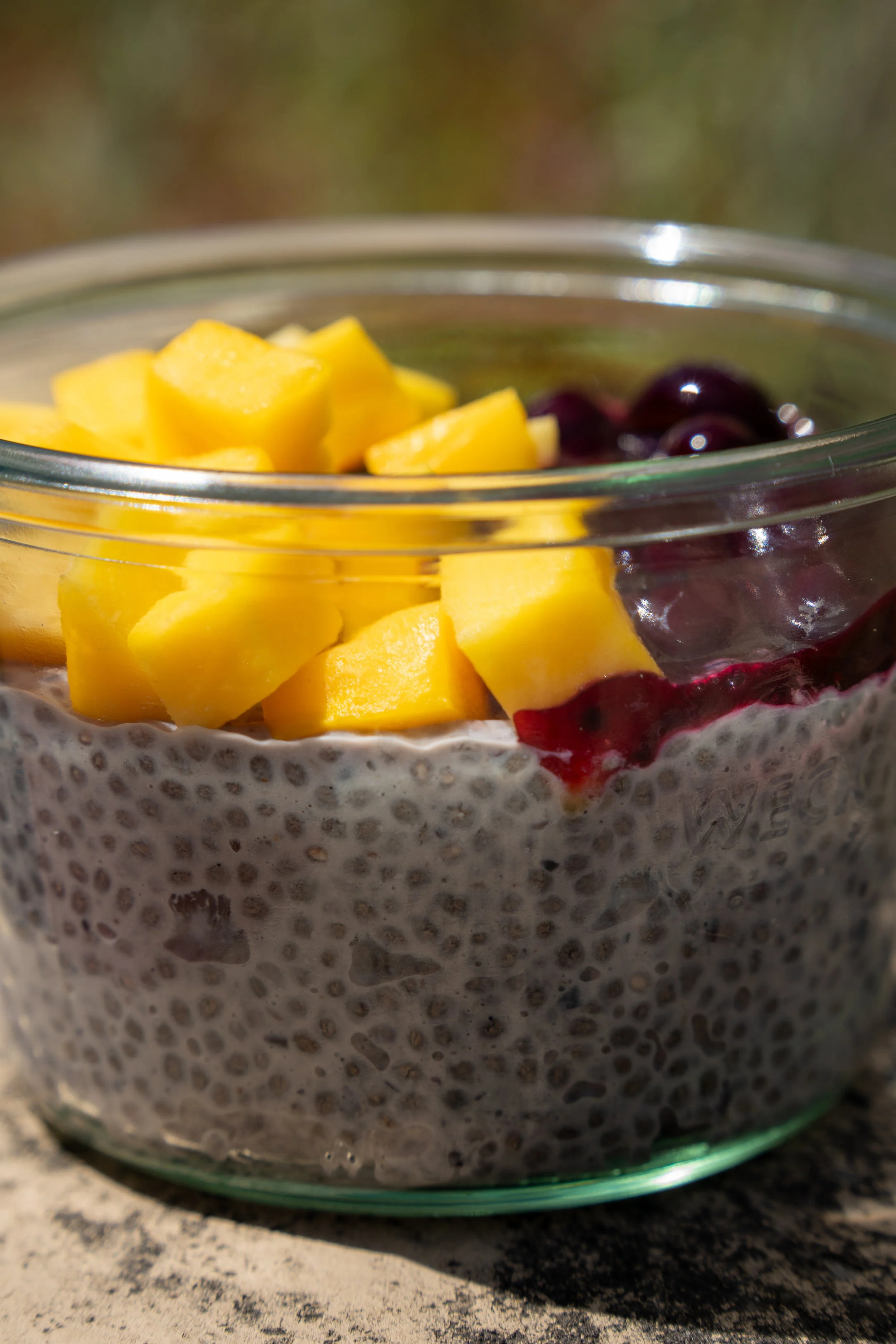 A glass bowl of chia seed pudding topped with diced mango and blueberries, placed on a speckled countertop.