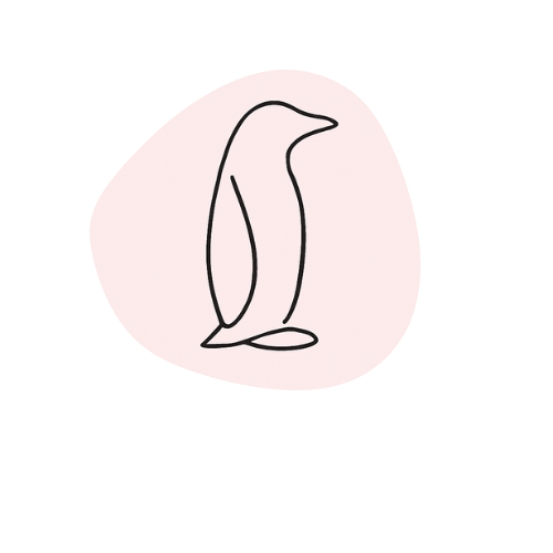 auf dem Bild sieht man einen Pinguin