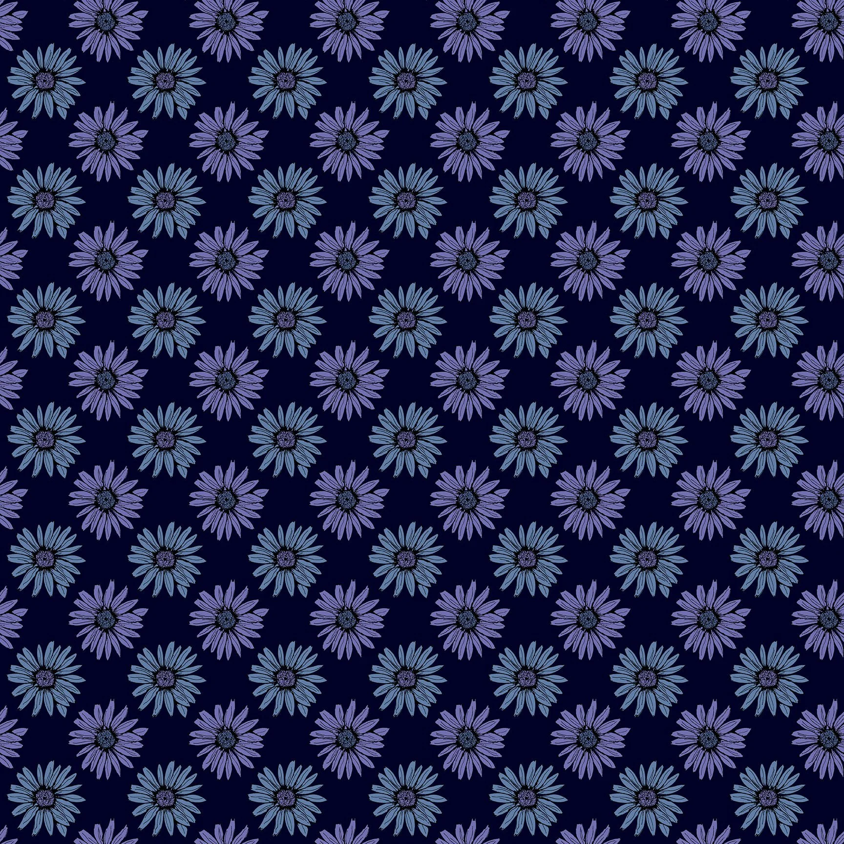 10162-B.jpg