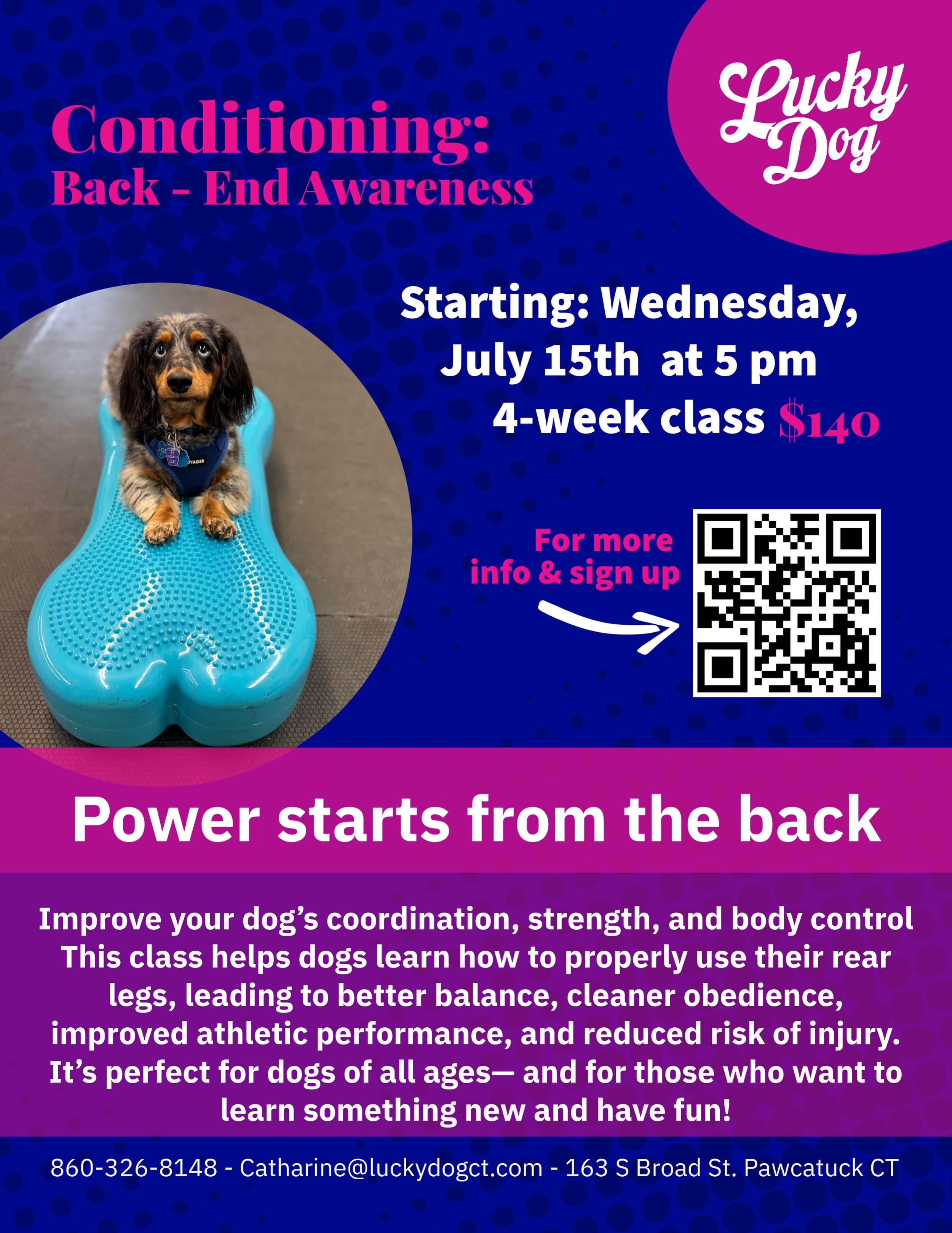 ⭐ 3 new classes starting soon! ⭐

Check them out and sign up on our website (link in bio).

⭐ Conditioning: back-end awareness begins July 15th with Catharine.

⭐ Canine Games starts July 28th with Kathy.

⭐ Cooperative Care begins July 28th with Kat