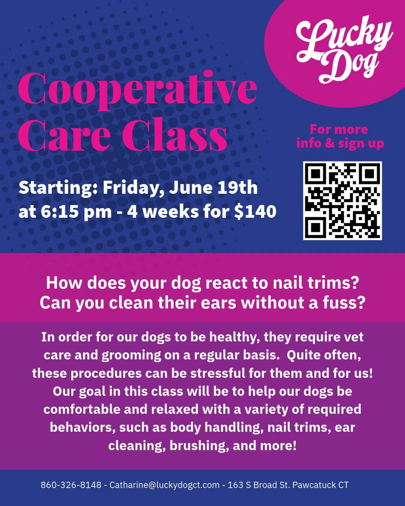 A fantastic class for helping our dogs become comfortable with handling!