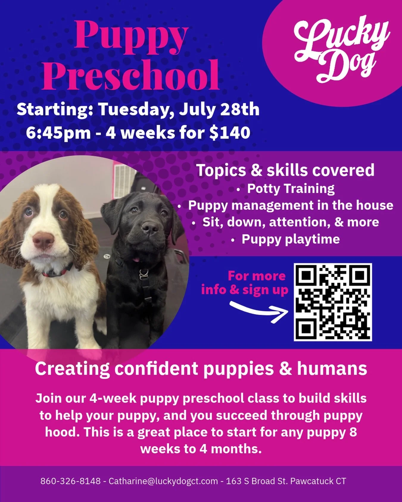 Puppy Preschool is on the schedule! 
Sign up at the link in our bio ⭐