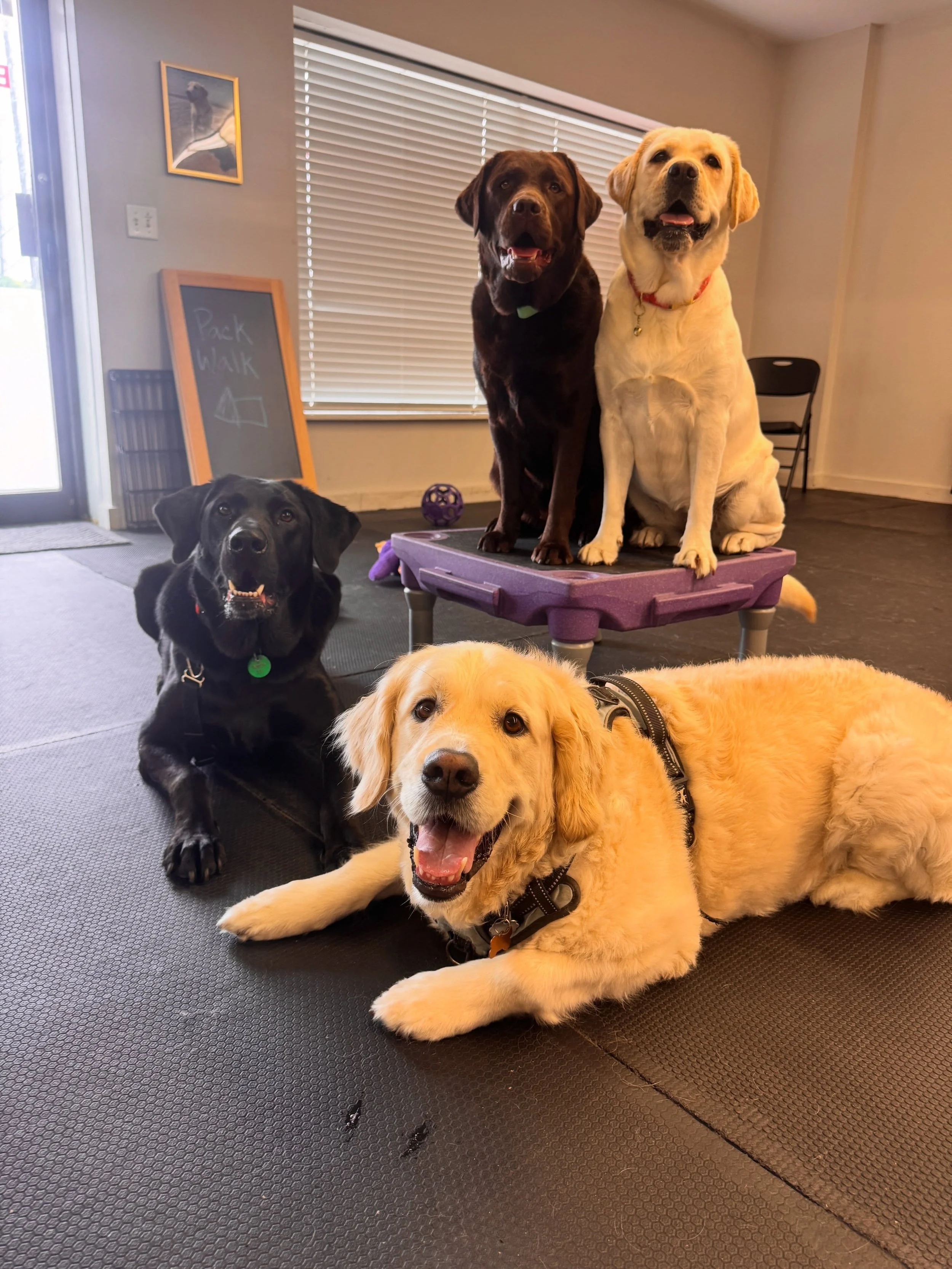 Happy Wednesday from the afternoon Play and Learn group! Apparently, we are models now 💁&zwj;♀️