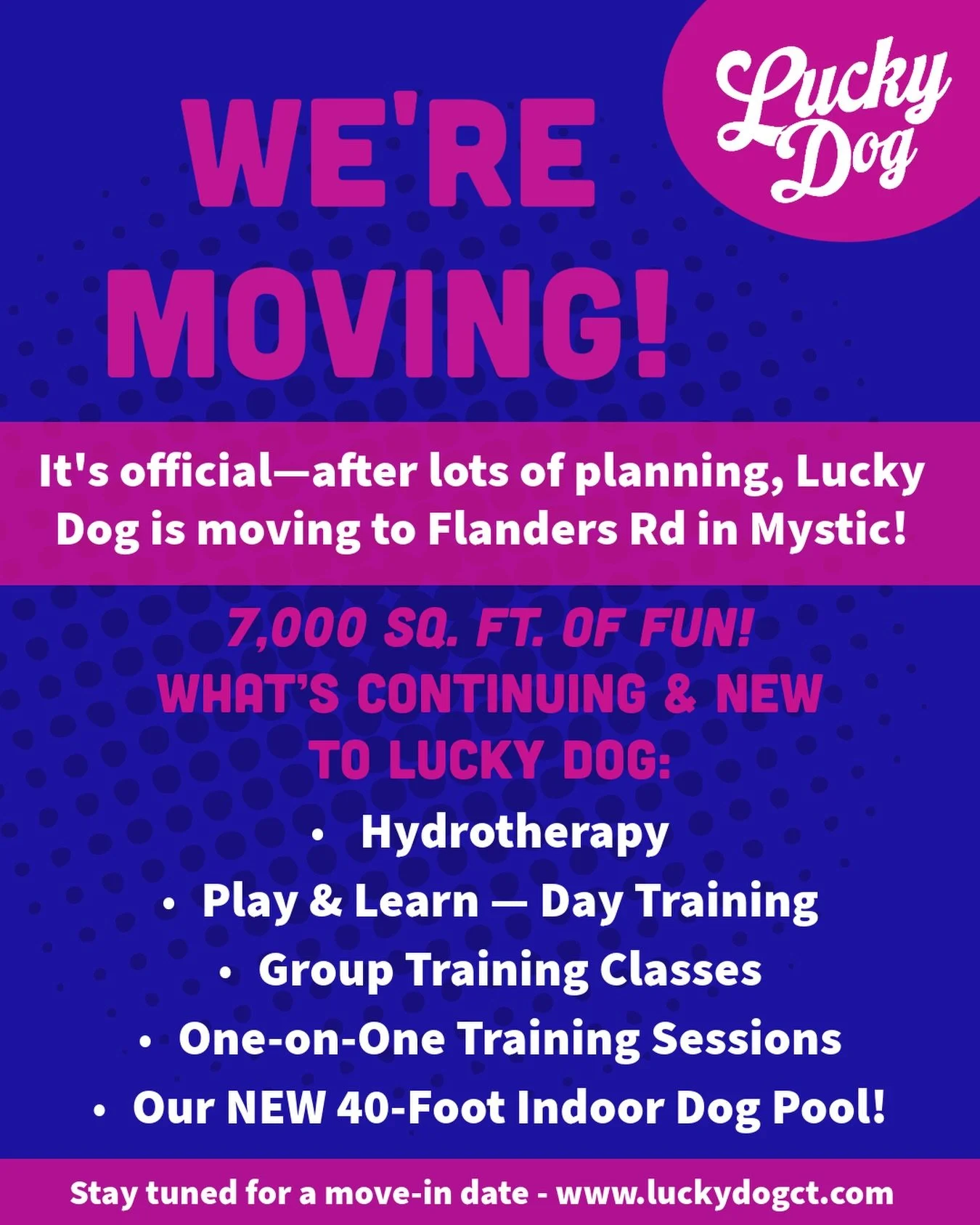 Lucky Dog is Moving!

We&rsquo;re excited to share that we will continue offering everything you already love about Lucky Dog &mdash; and we&rsquo;re adding even more! 

💦 Hydrotherapy
👯 Play &amp; Learn: Day Training
🐻 Group Classes
🐾 One-on-One