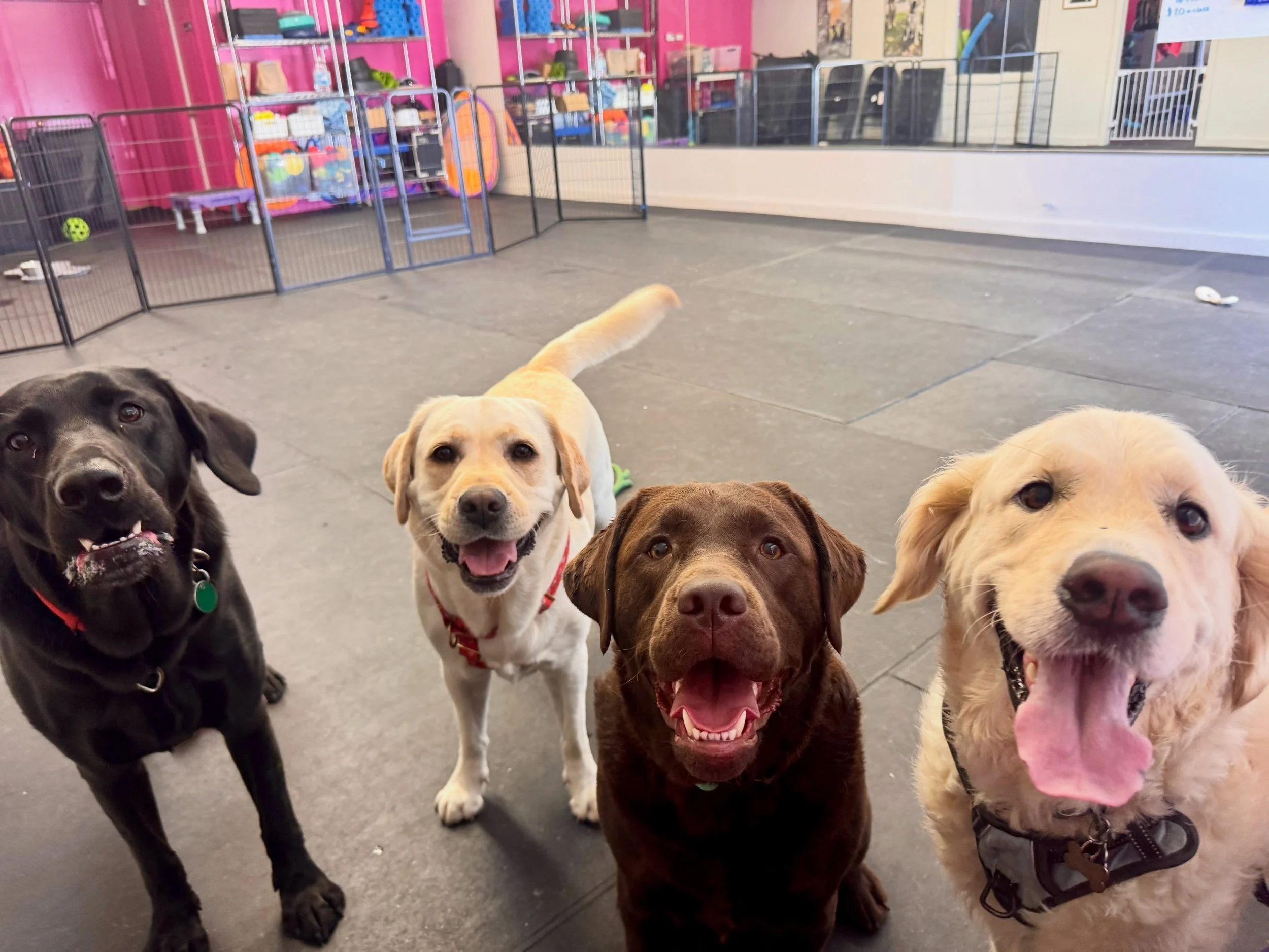 Big smiles today! 
A great group of friends this afternoon!