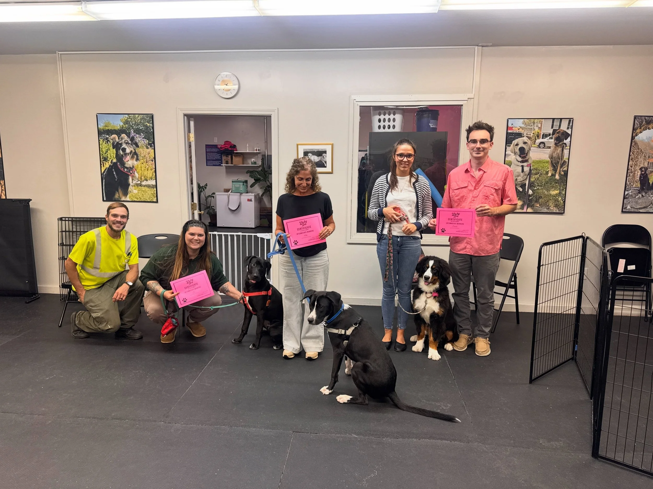 A very sweet group of dogs and people graduated from Intermediate Class this week. These dogs have grown by leaps and bounds over the last 6 weeks + from all the classes they have attended.

The best part is seeing the dogs and humans grow together. 