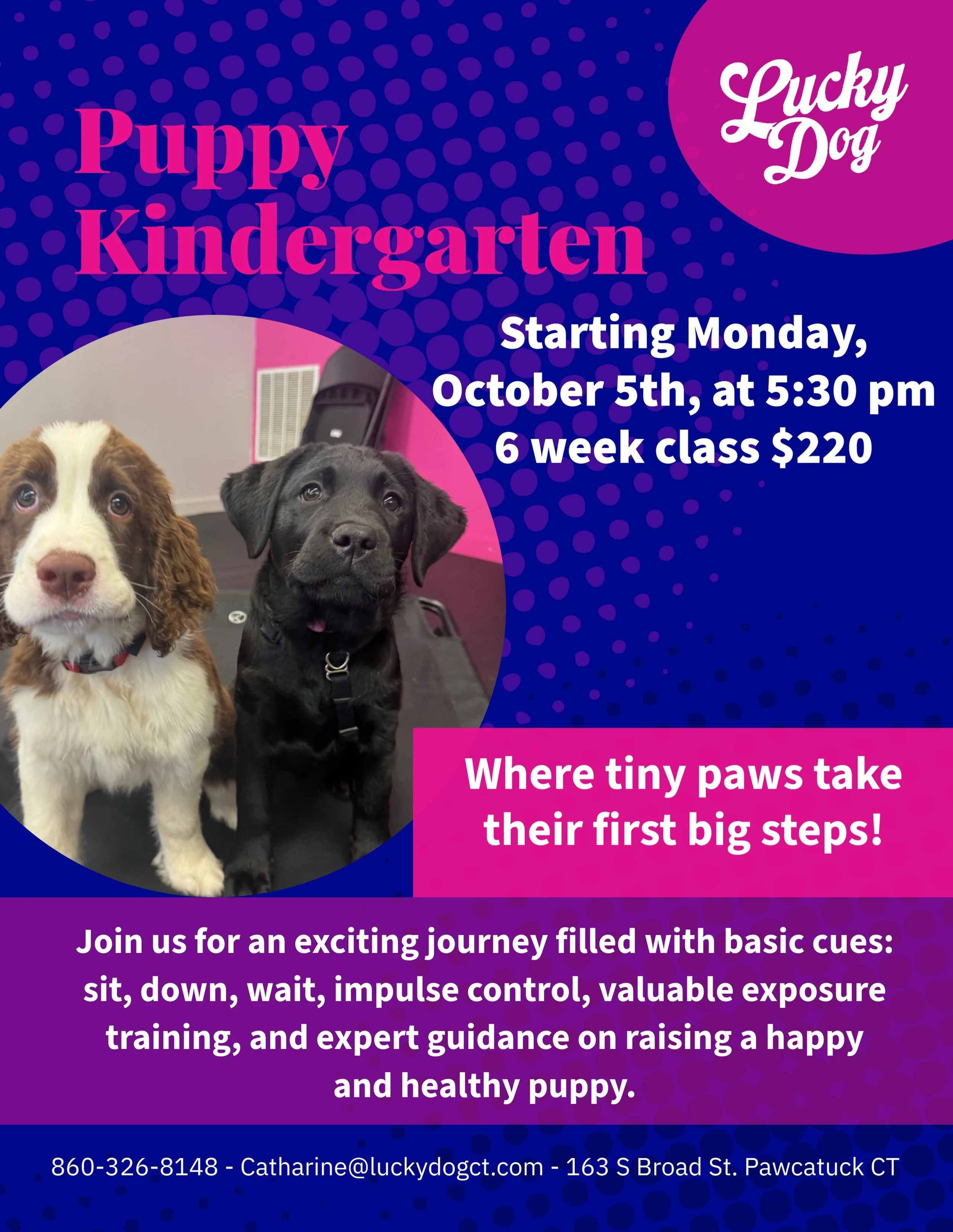 Puppies, Puppies, Puppies!! 
Class starts Monday, 10/5 5:30pm at our new location! Get your spot now!