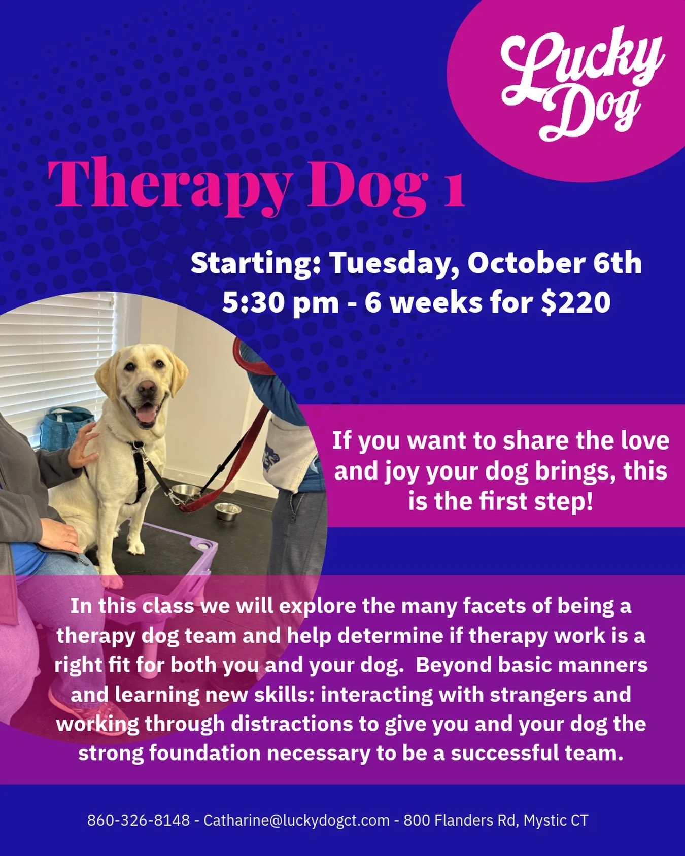 If you've been looking for a class to help prepare you for Therapy Dog work, this is your sign. Come join Kathy starting on 10/6 to learn more about what it means to be a therapy dog team and to build the skills you need to succeed!