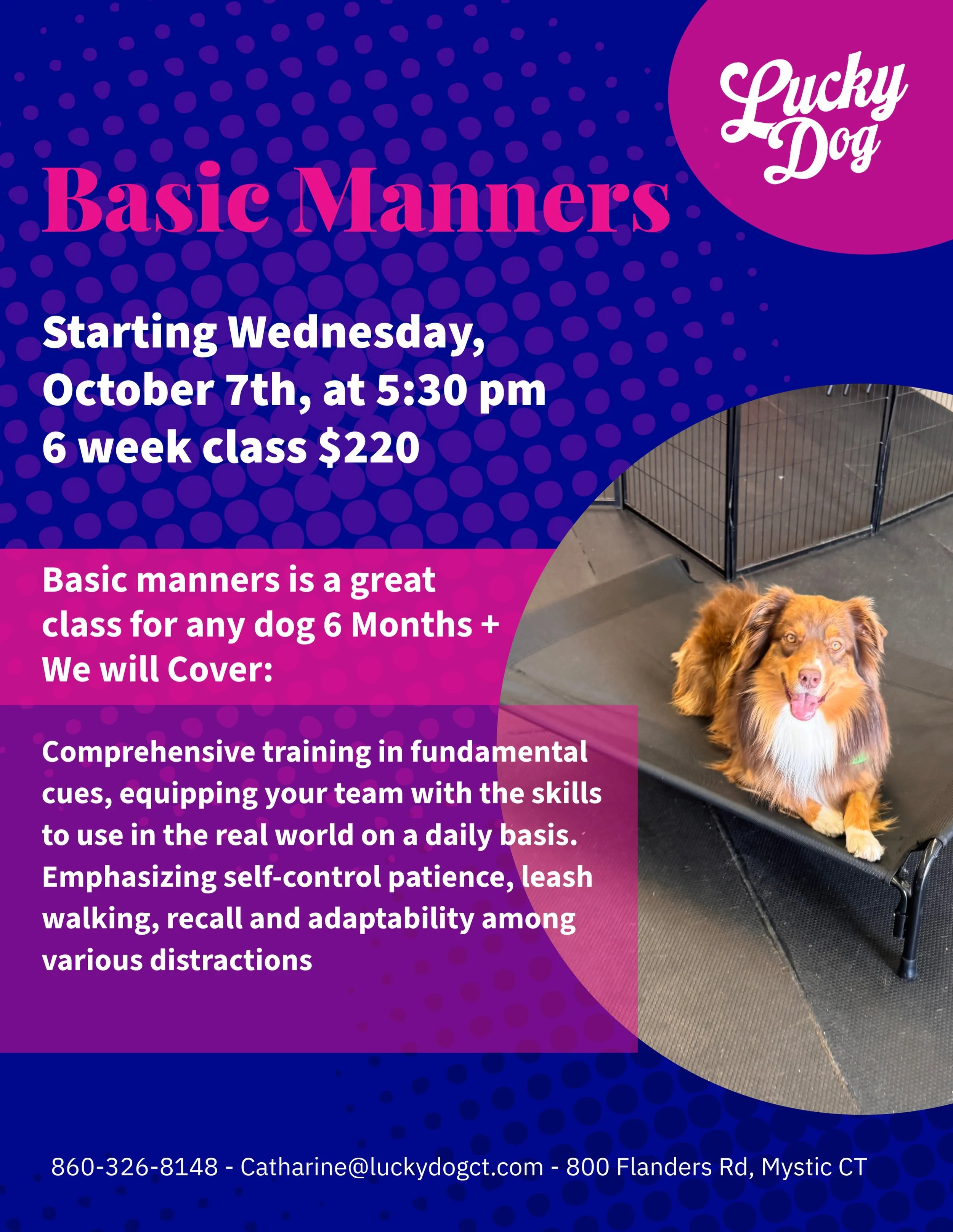 Basic Manners begins Wednesday, 10/7. Join us to develop many essential everyday life skills!