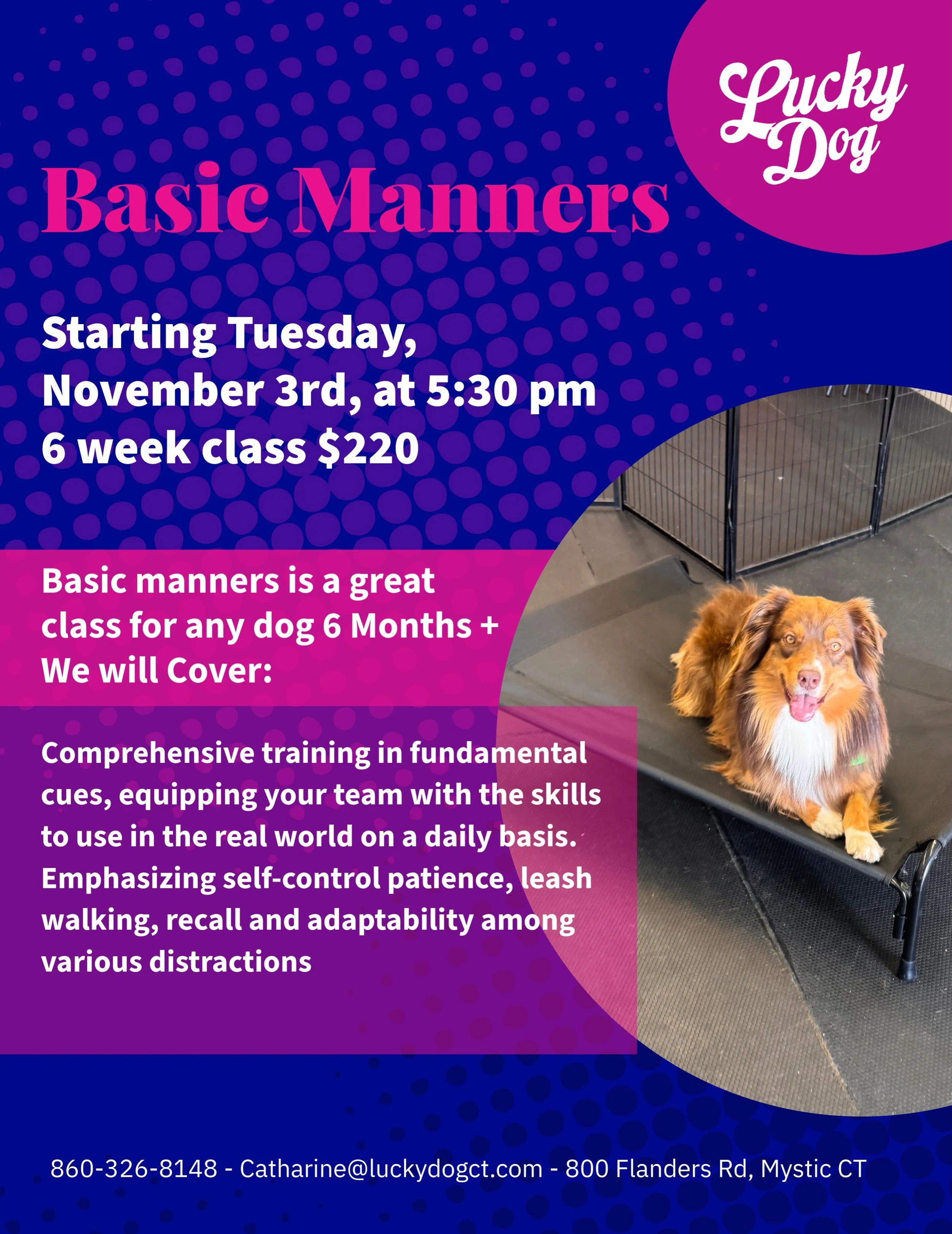 Two Saturday Classes Starting soon! Come join us!