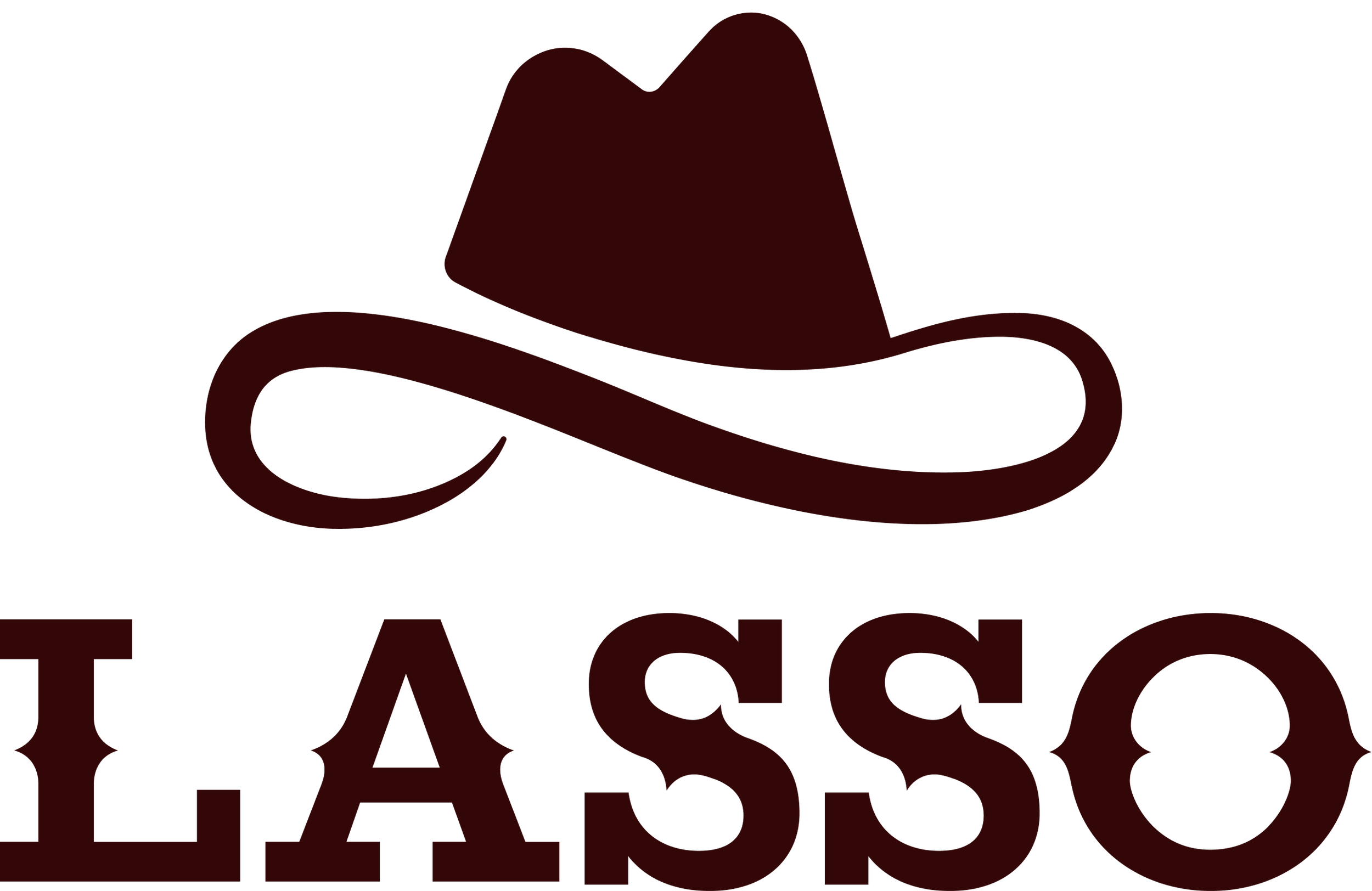 LassoSecurity-22484664_brown_logo_png.png