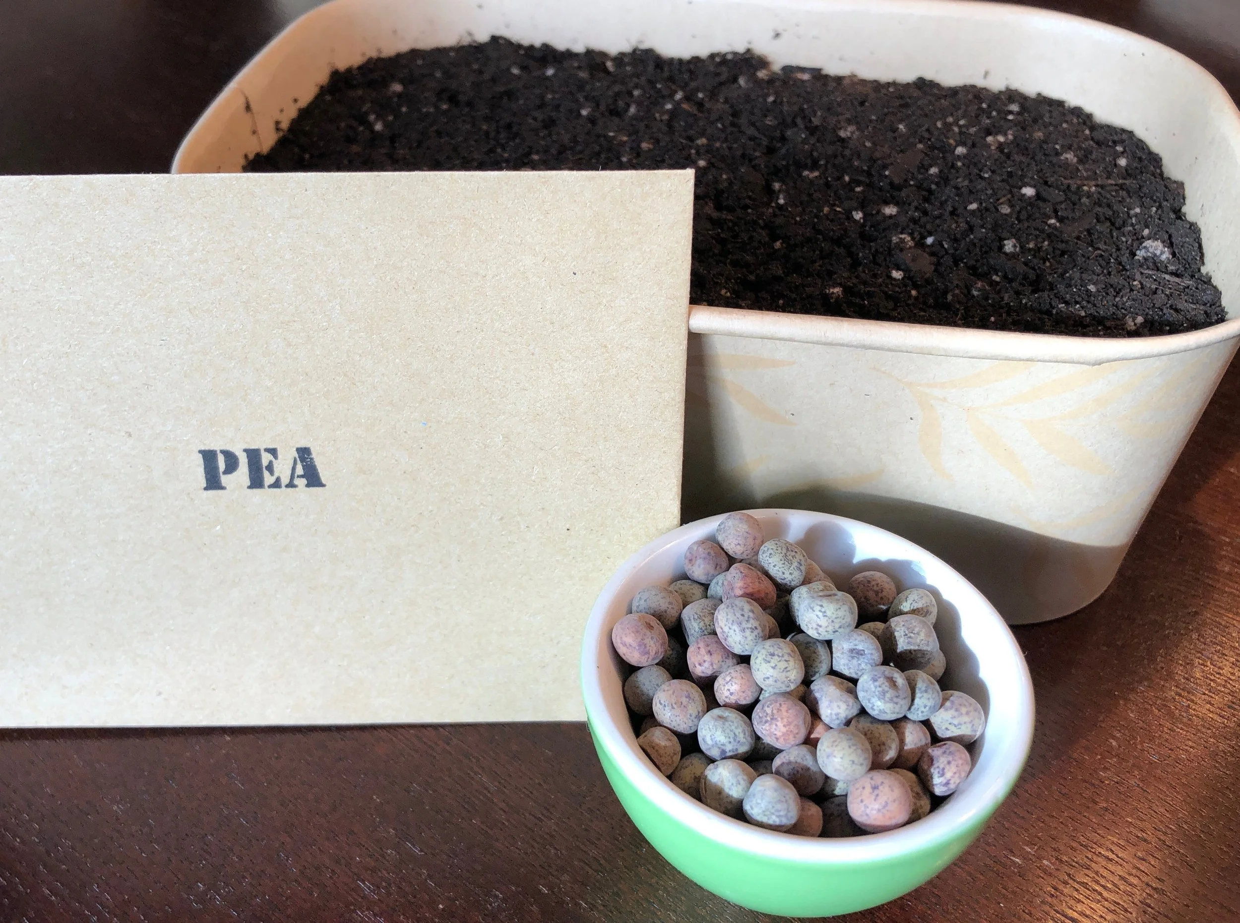 diy-pea-kit.jpg