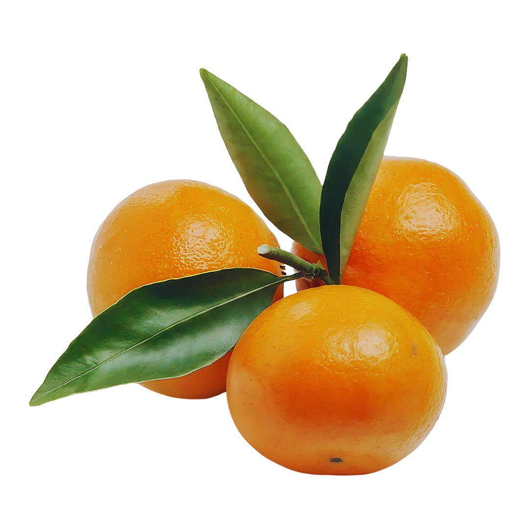 about-beverly-groves-therapy