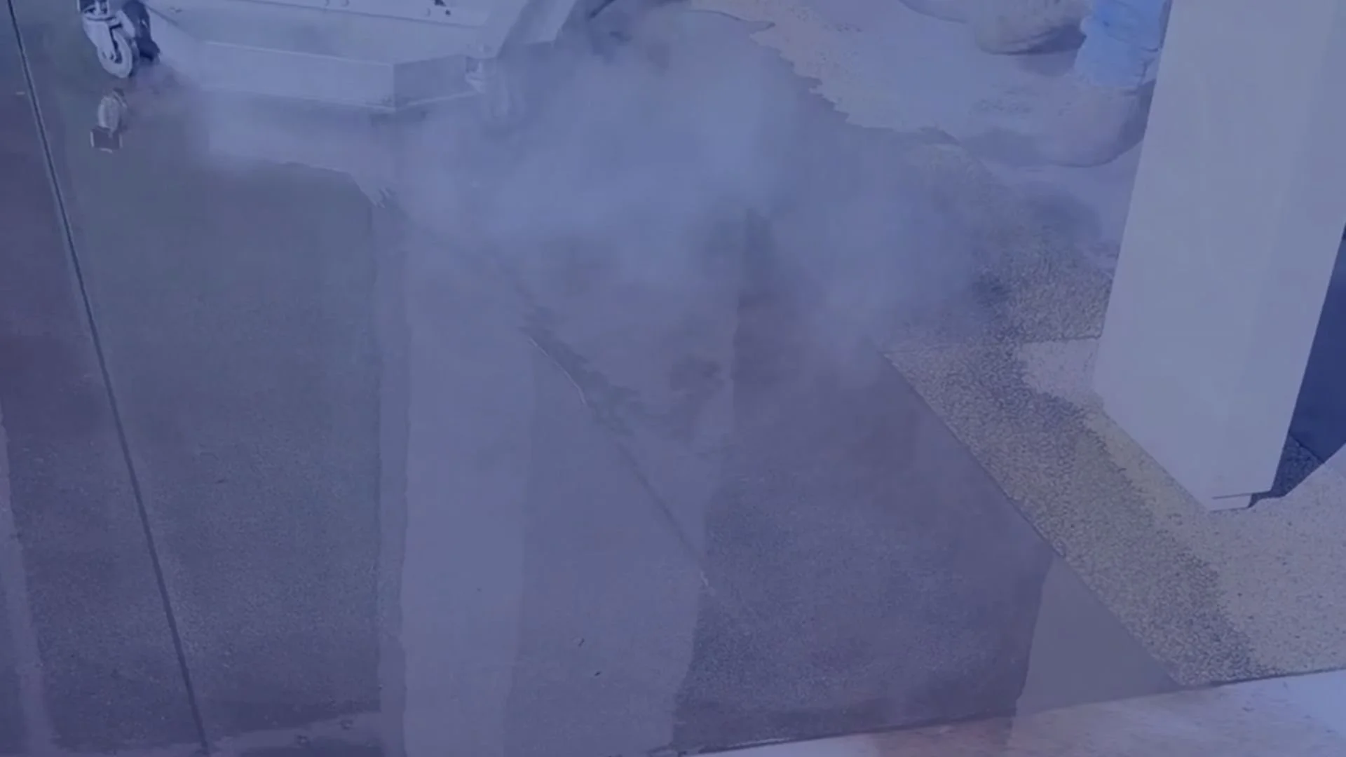 Copy of semper pro.jpg