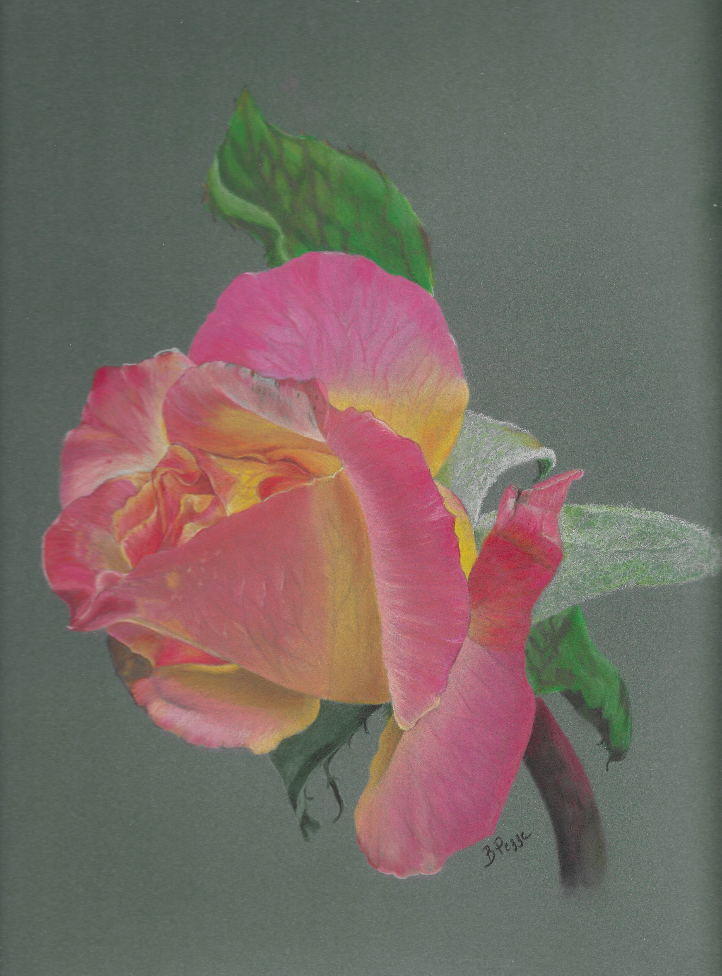 Rose  Available 