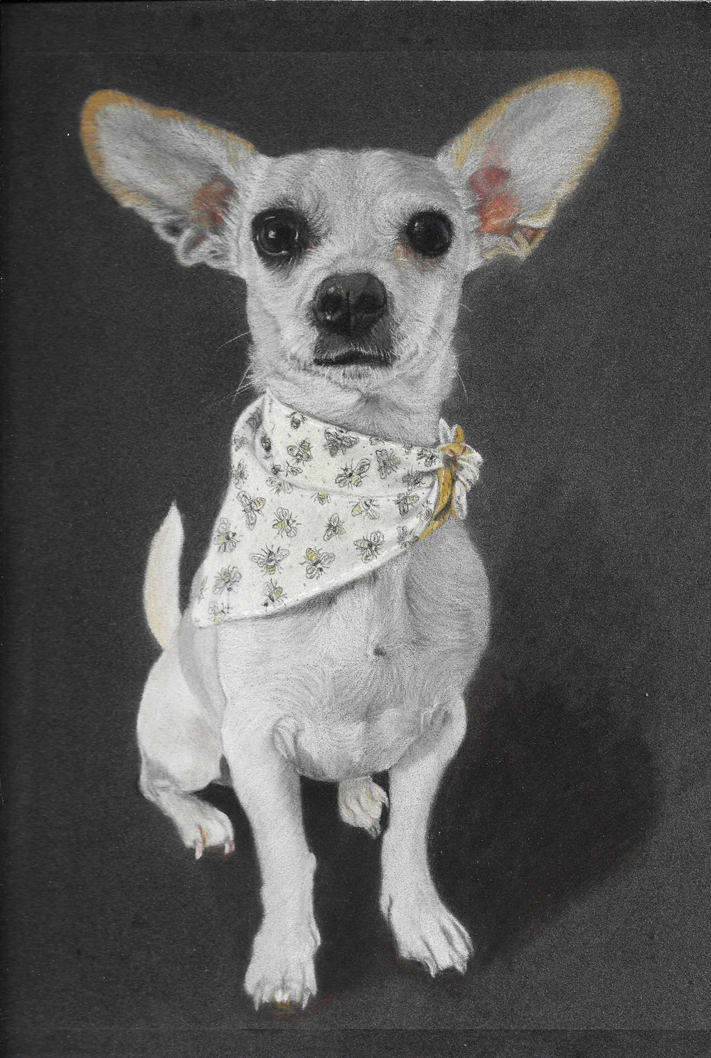 Custom pet portrait of Flower by Barb