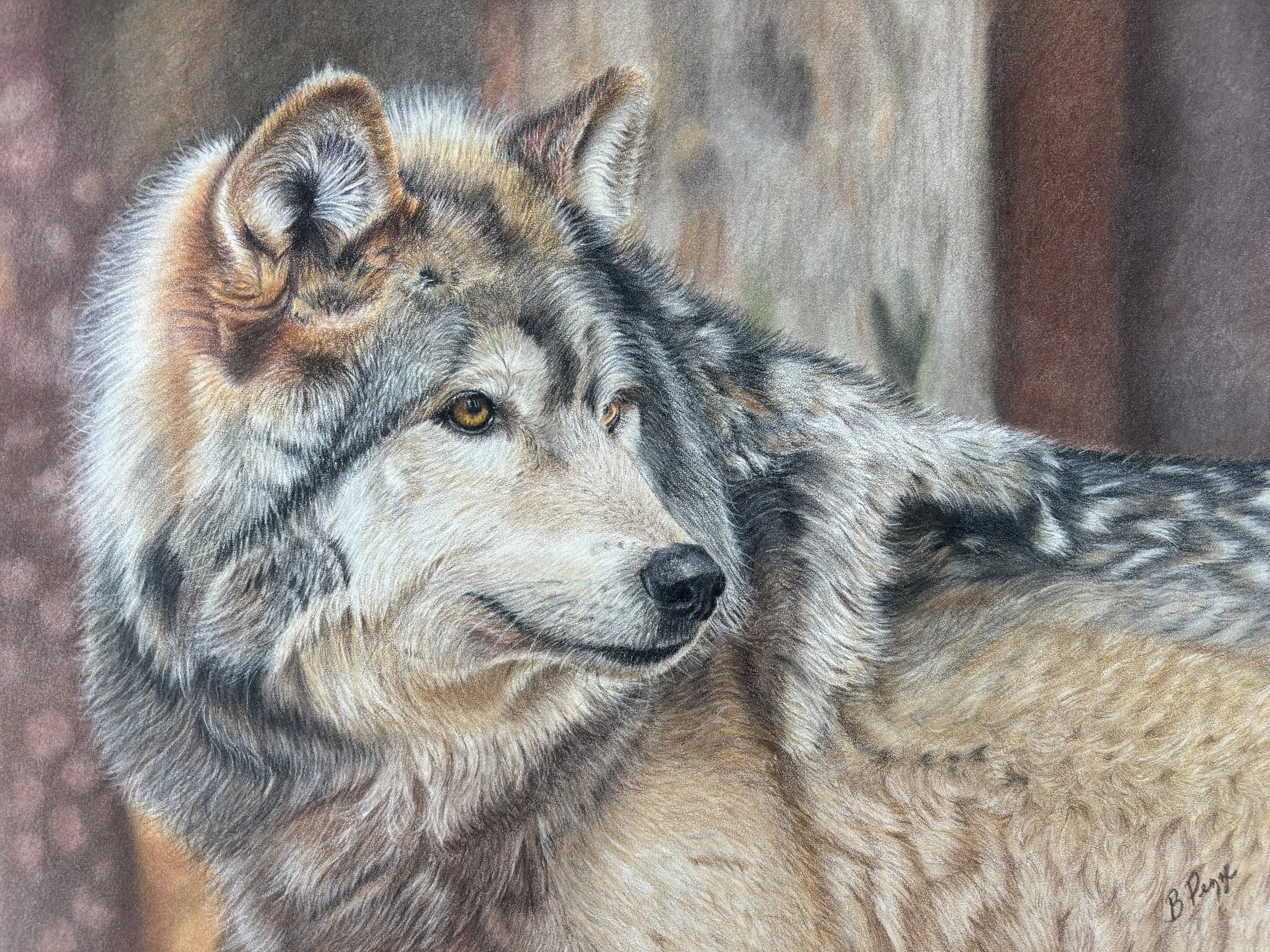 Wolf  Sold 