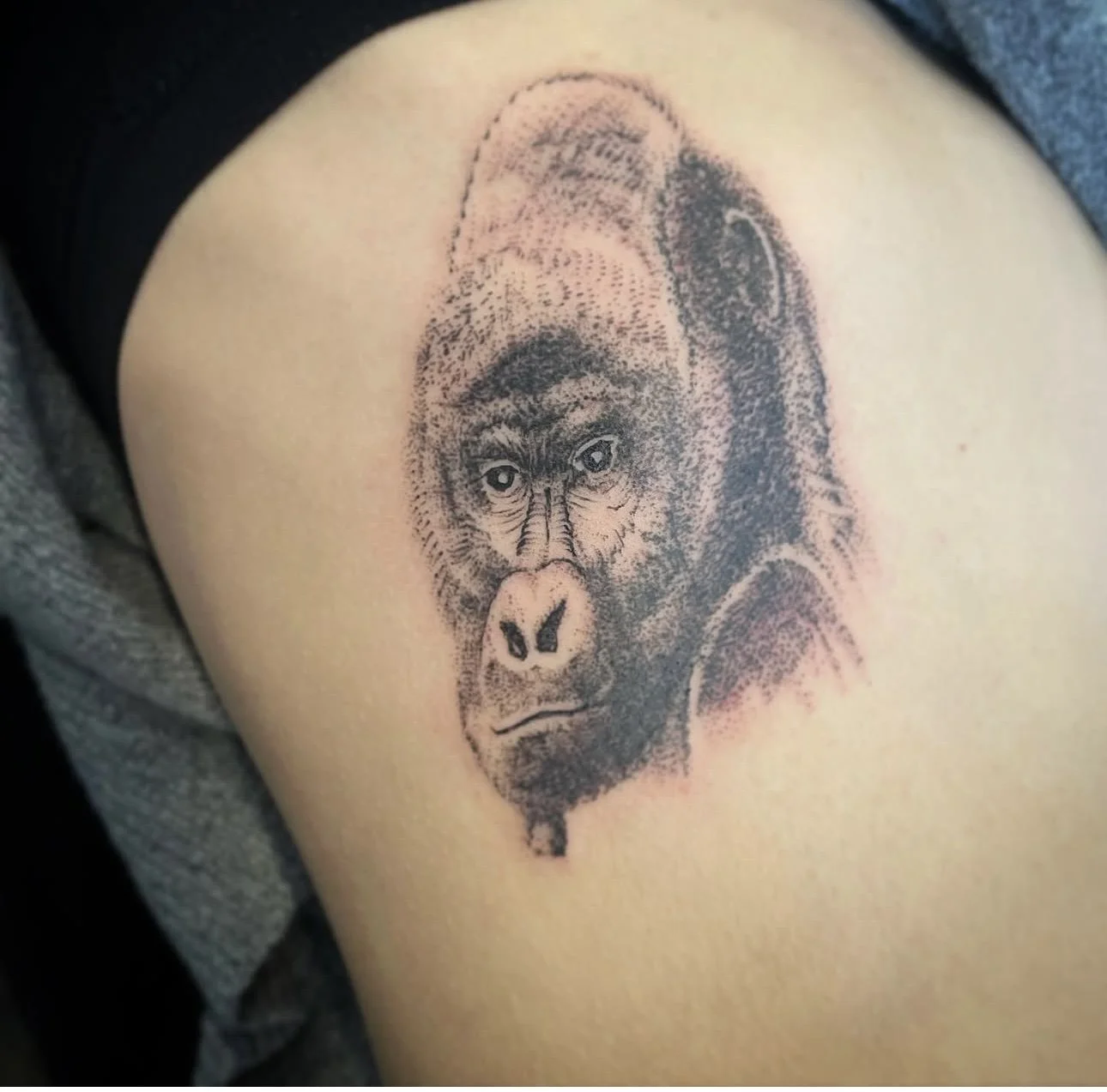 black and grey animal portrait silverback gorilla tattoo near me Jocelyn Groff