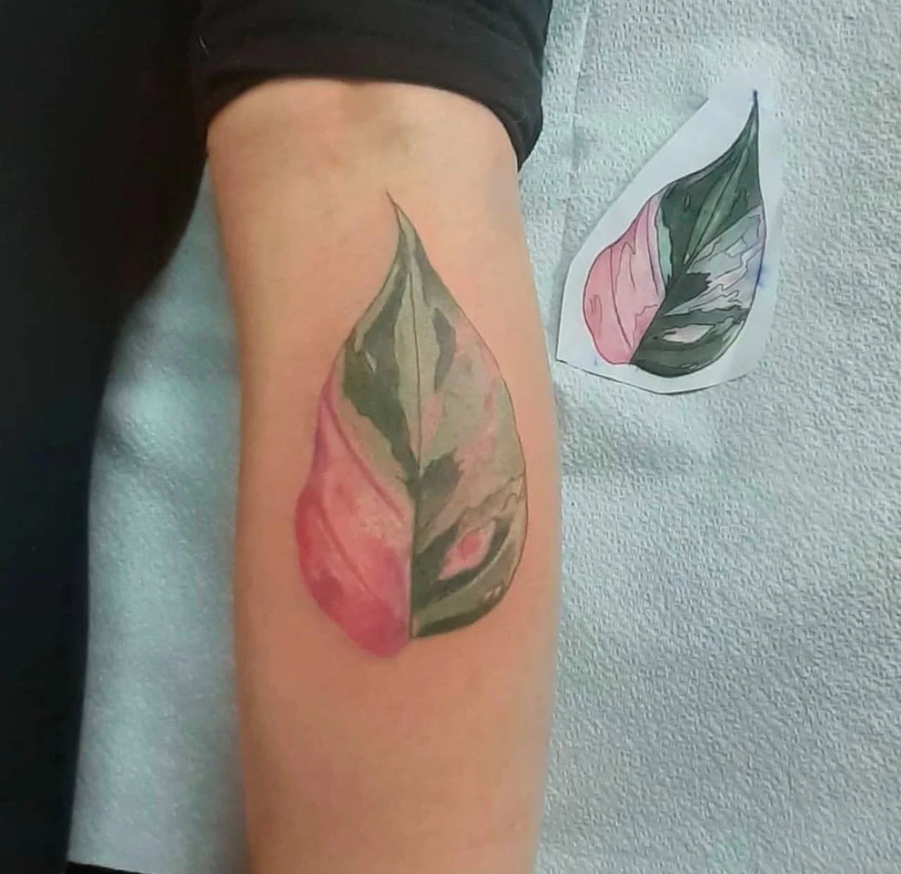 female owned tattoo studio near me albany New York plant tattoo