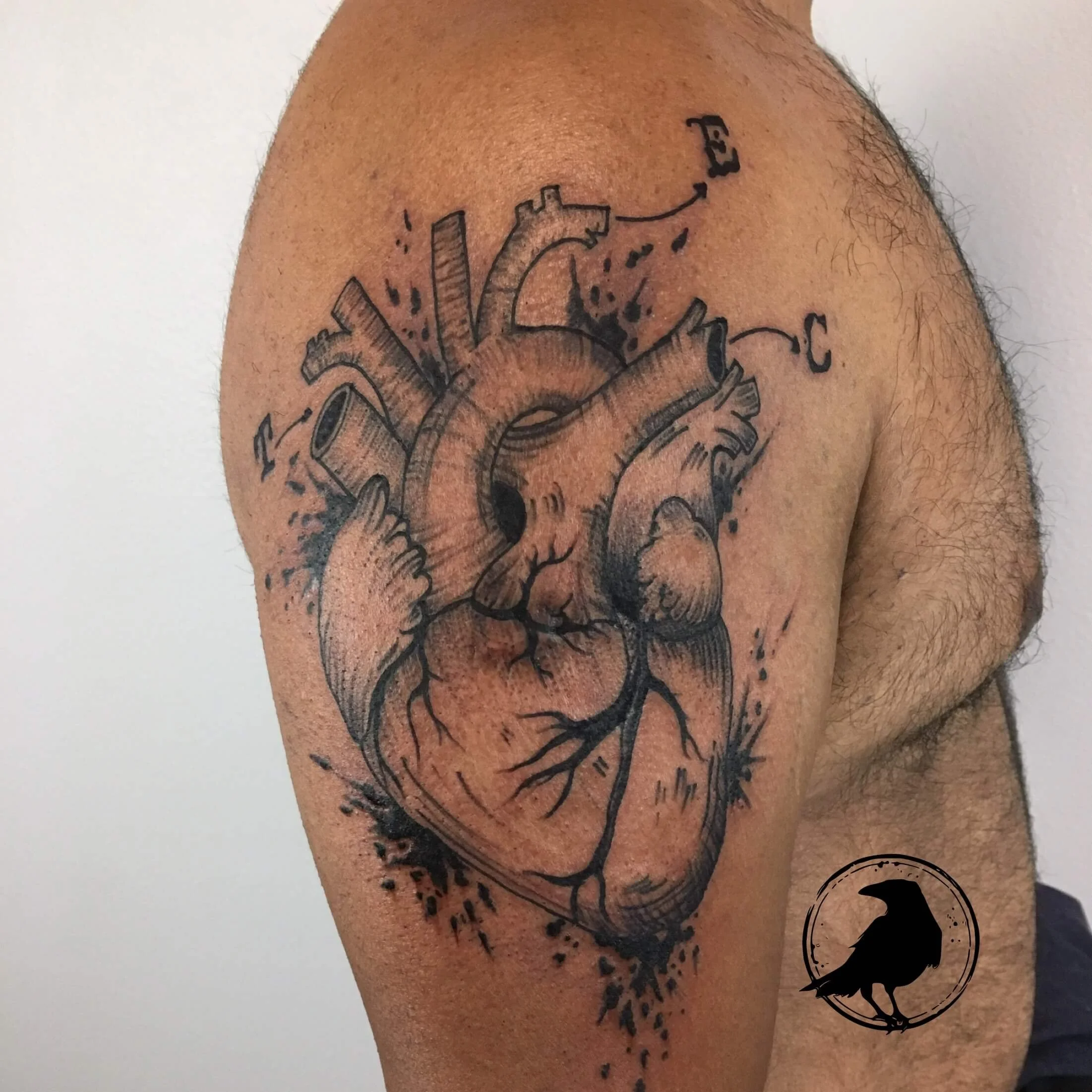anatomical heart abstract Keith Cromie