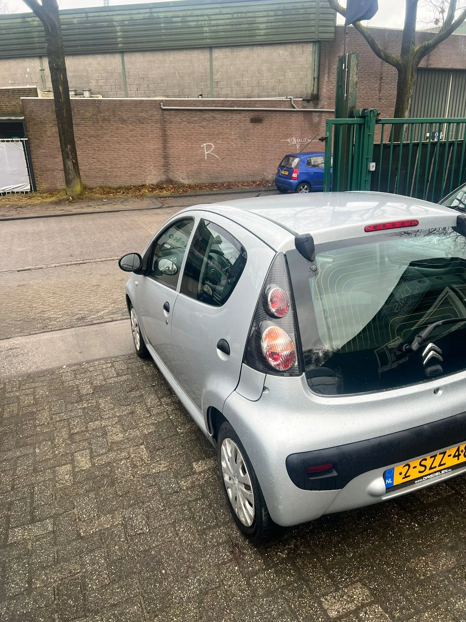 WhatsApp Image 2026-02-11 at 15.50.28 (5).jpeg