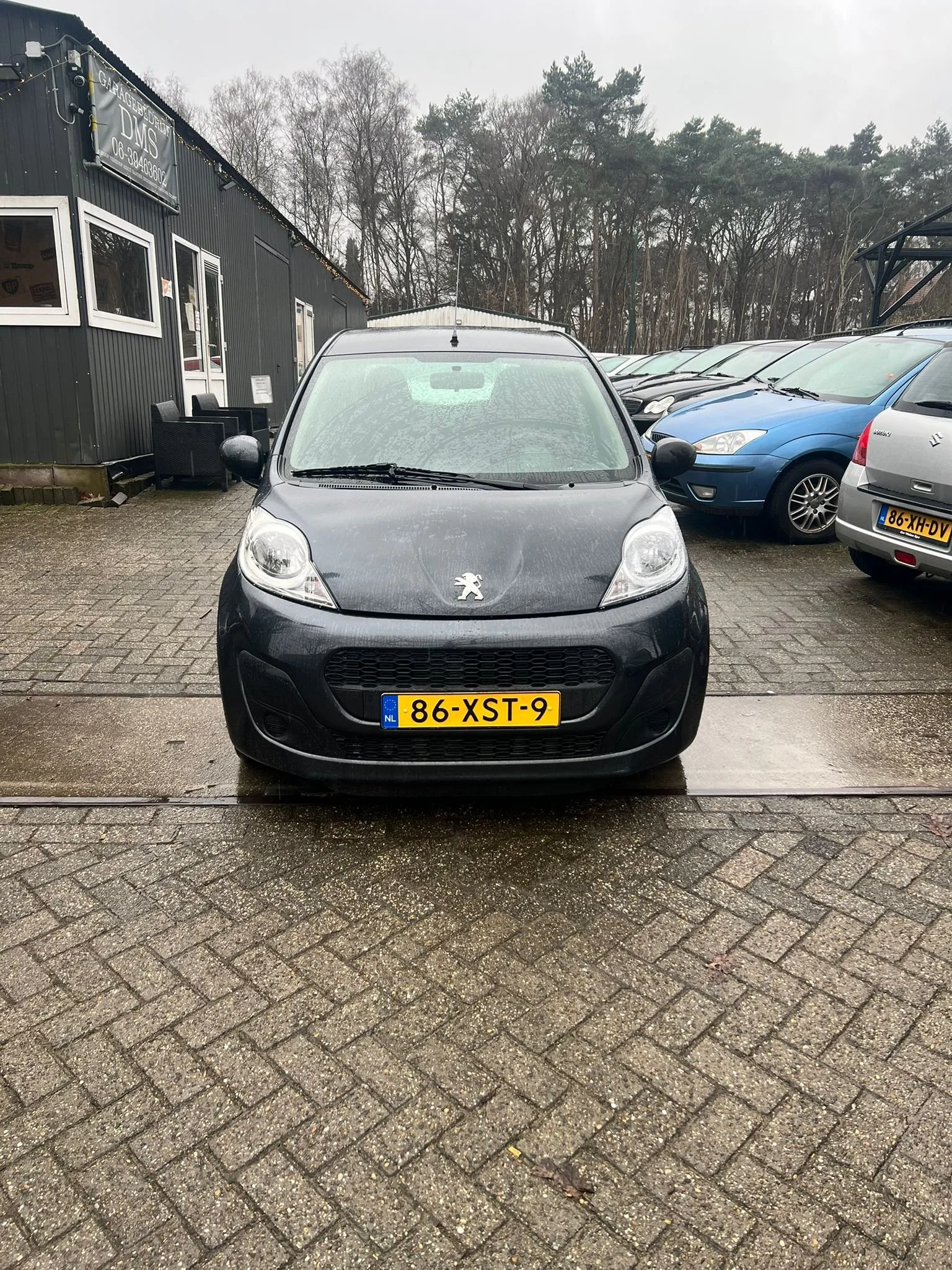 WhatsApp Image 2026-02-11 at 14.59.47 (6).jpeg