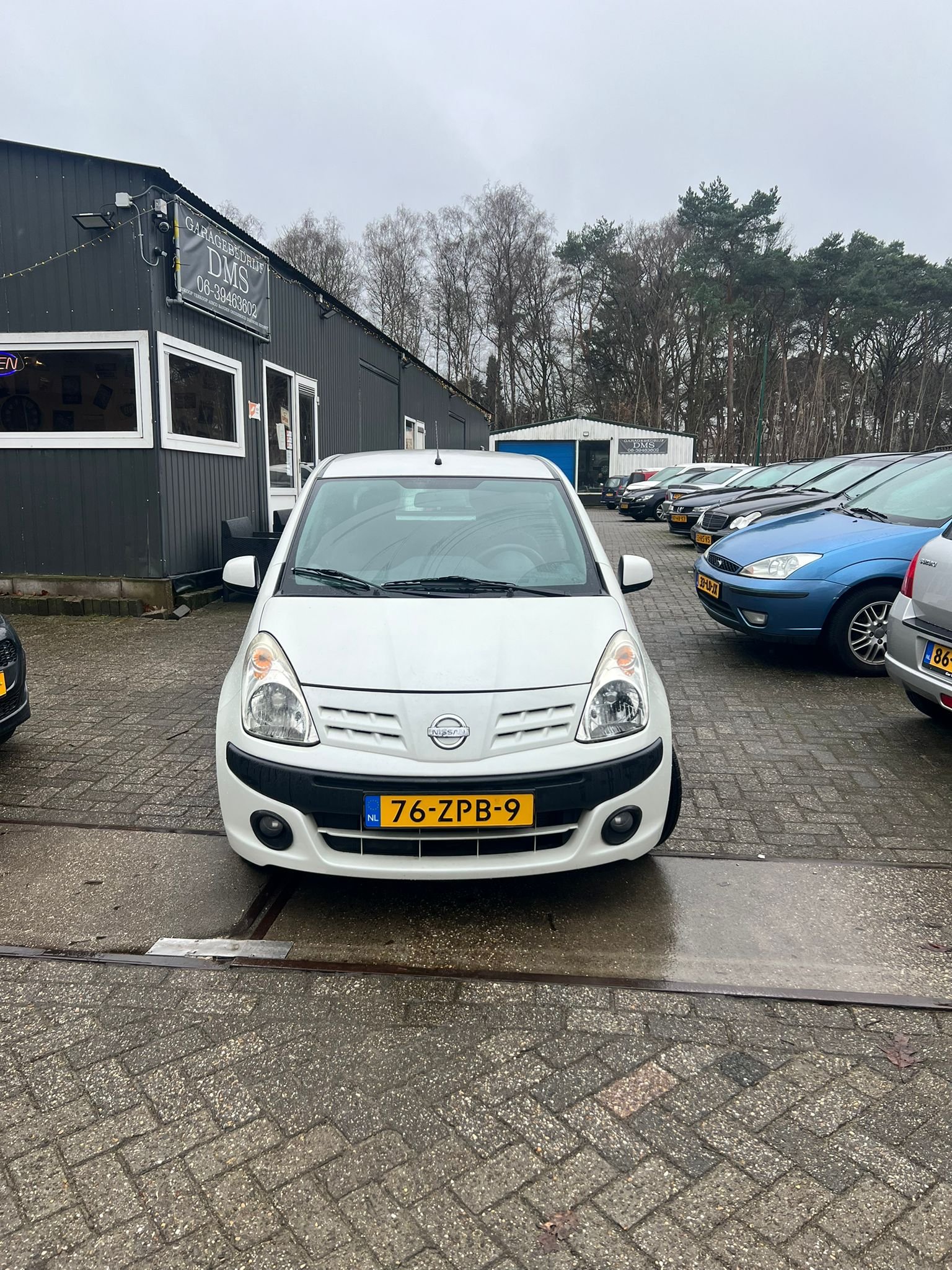 WhatsApp Image 2026-02-11 at 14.08.12.jpeg