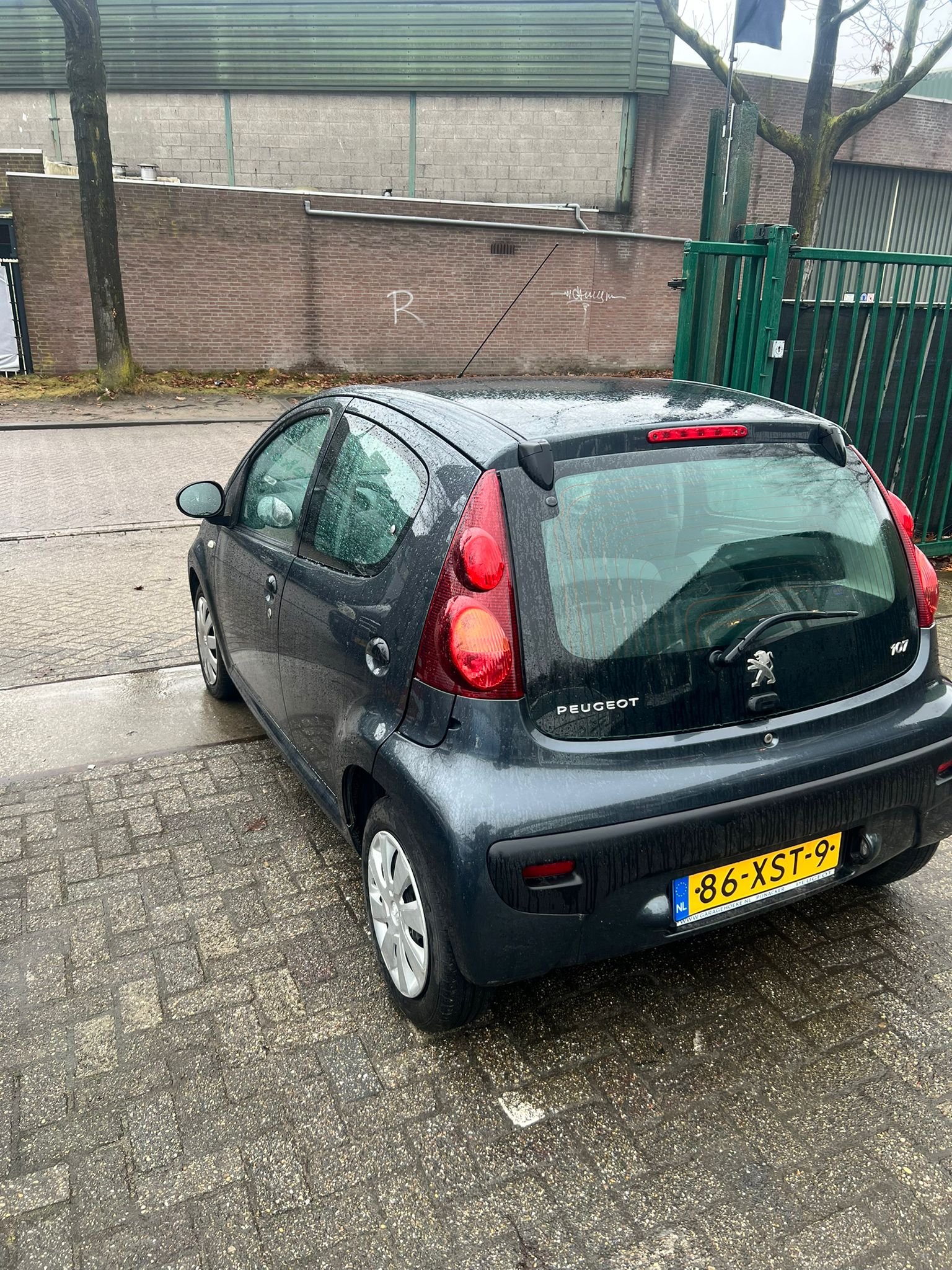 WhatsApp Image 2026-02-11 at 14.59.45 (5).jpeg