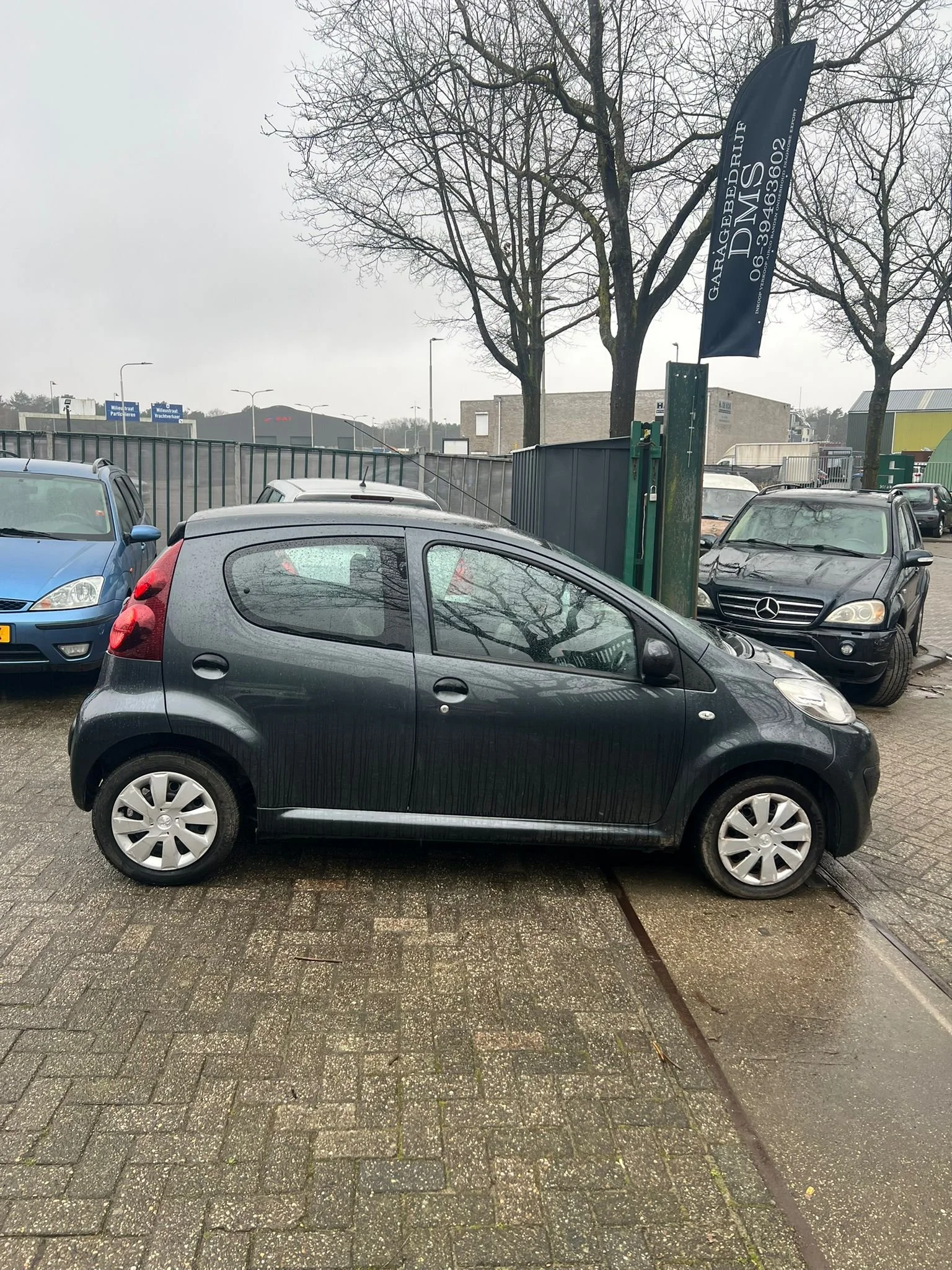 WhatsApp Image 2026-02-11 at 14.59.47 (3).jpeg