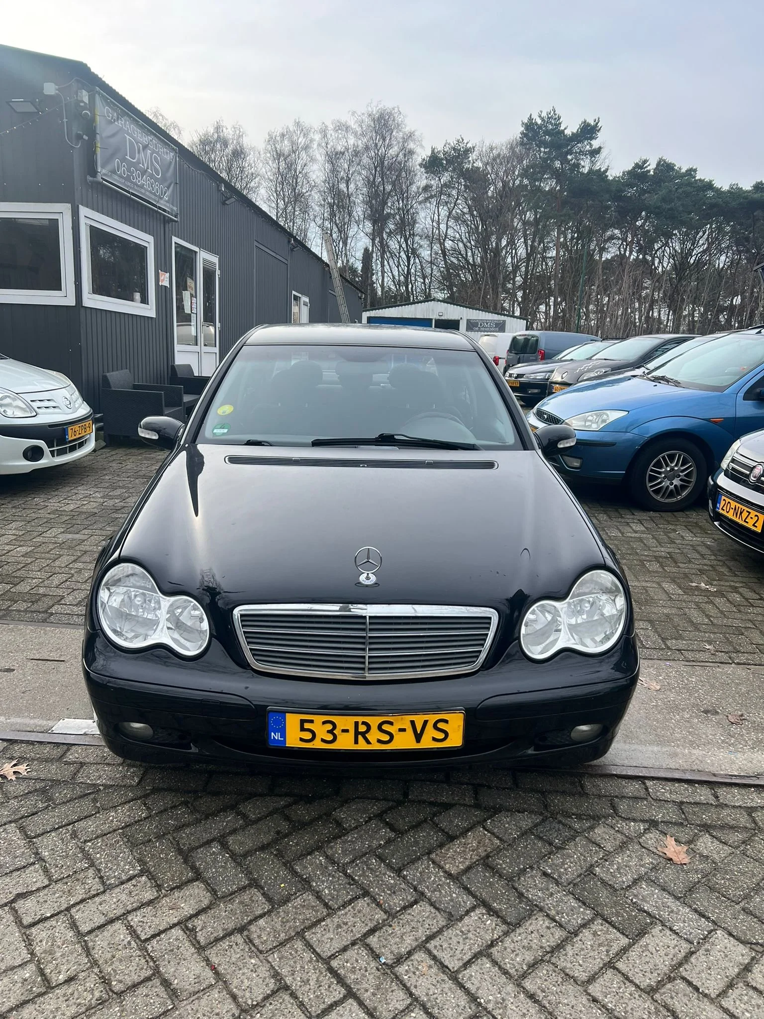 WhatsApp Image 2026-02-18 at 11.59.07.jpeg