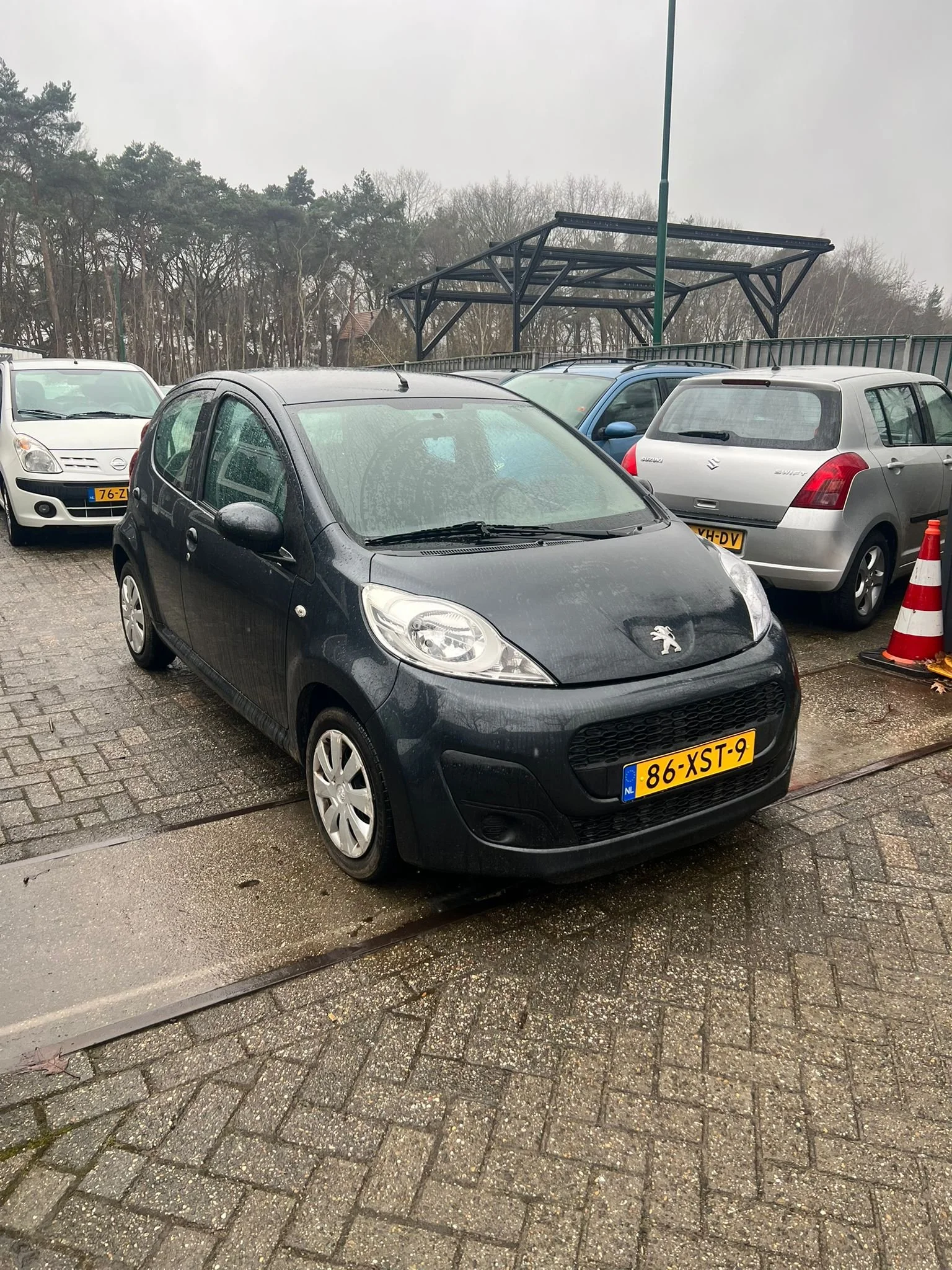 WhatsApp Image 2026-02-11 at 14.59.47 (4).jpeg