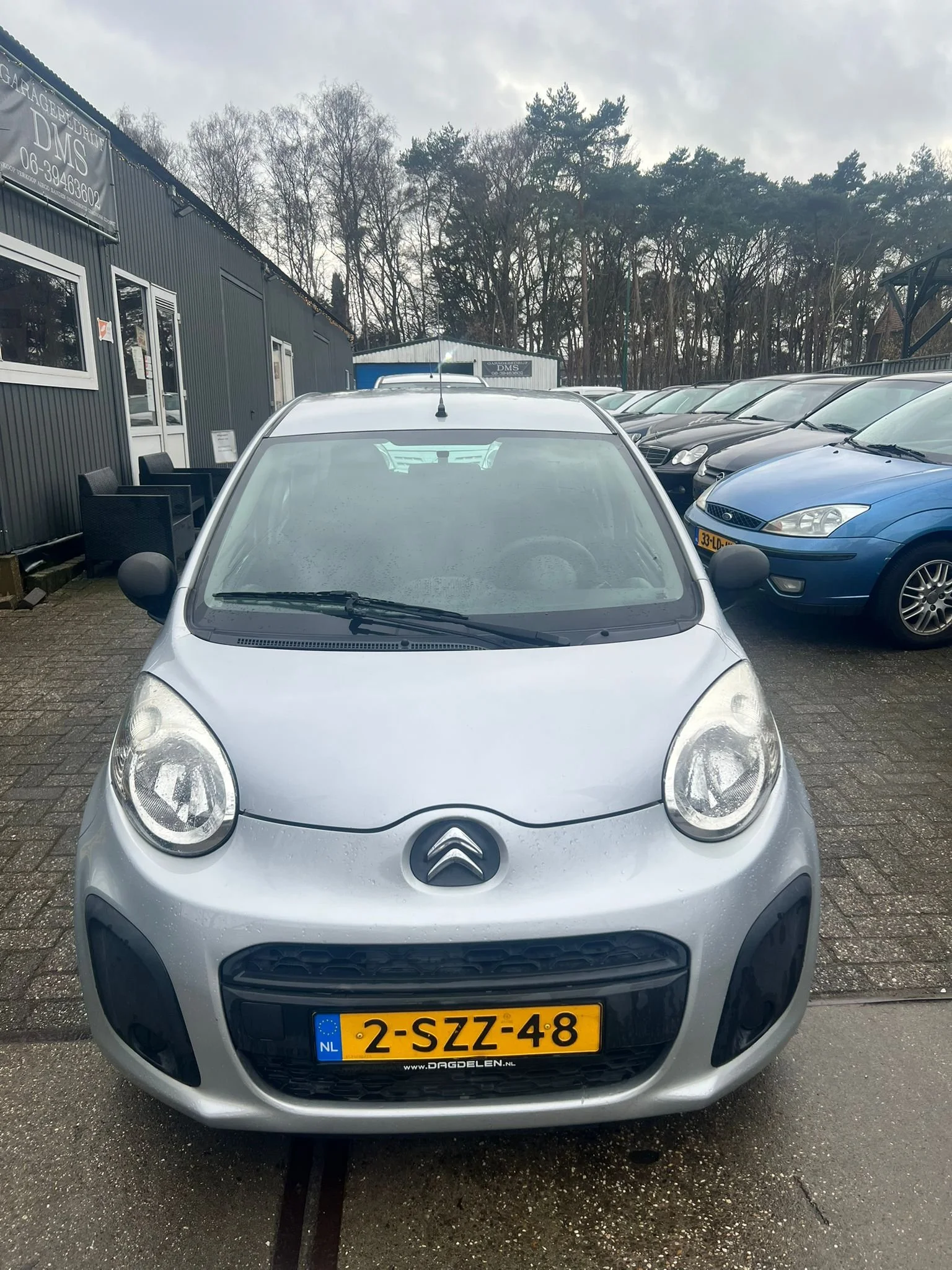 WhatsApp Image 2026-02-11 at 15.50.30 (1).jpeg