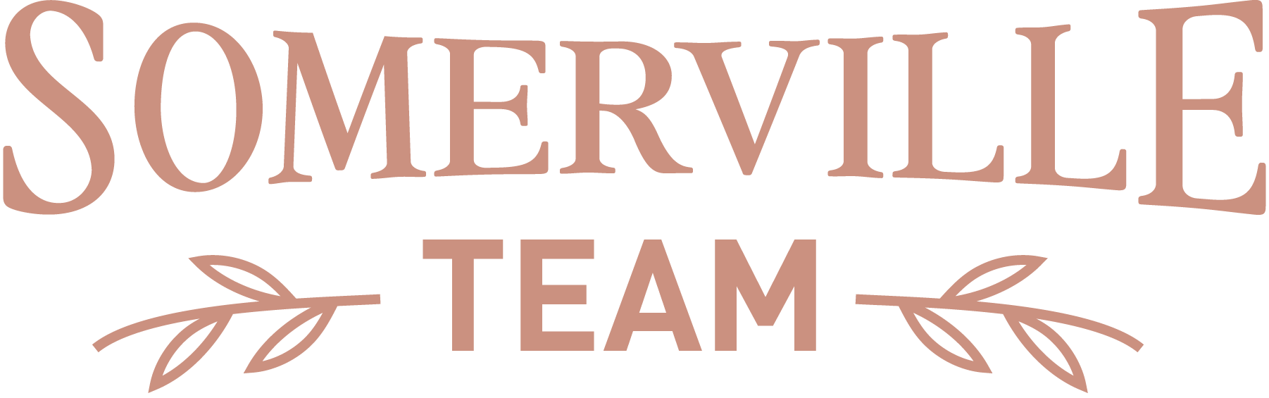 Somerville Team.png