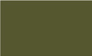 A solid olive green background with no visible objects or details.