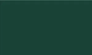 Empty dark green background.