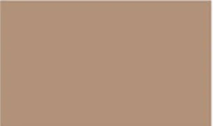 A plain brown background.