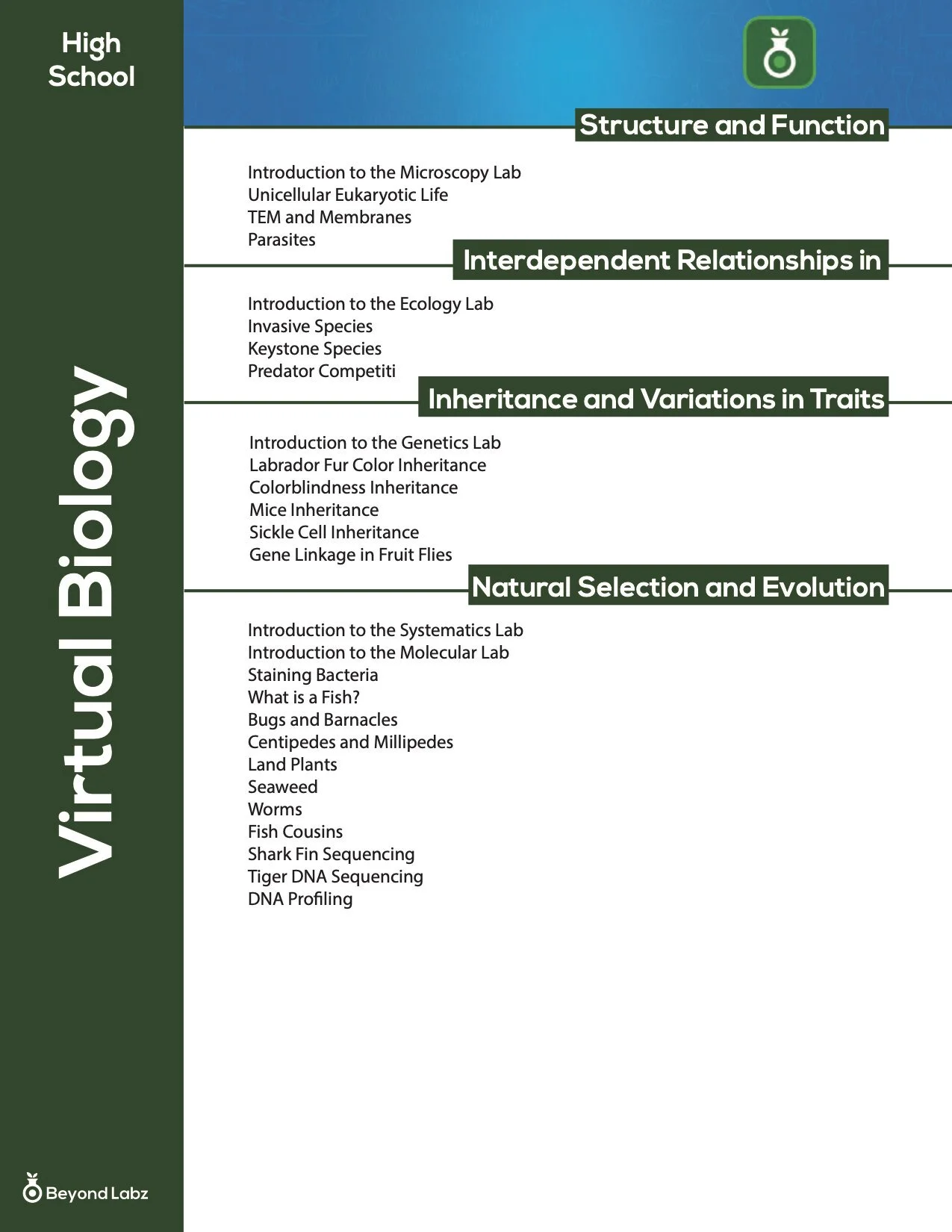HS Worksheet Activities2.jpg