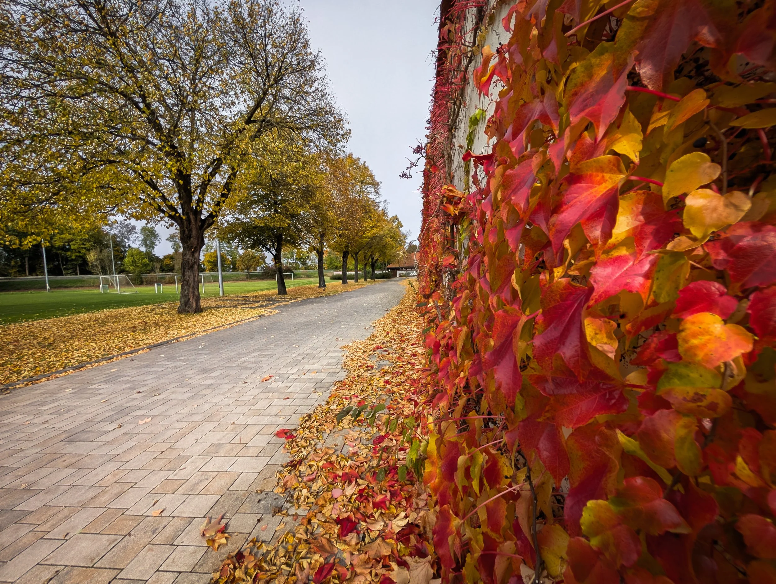 autumn days | Weg zum Garten der Stille Freystadt
