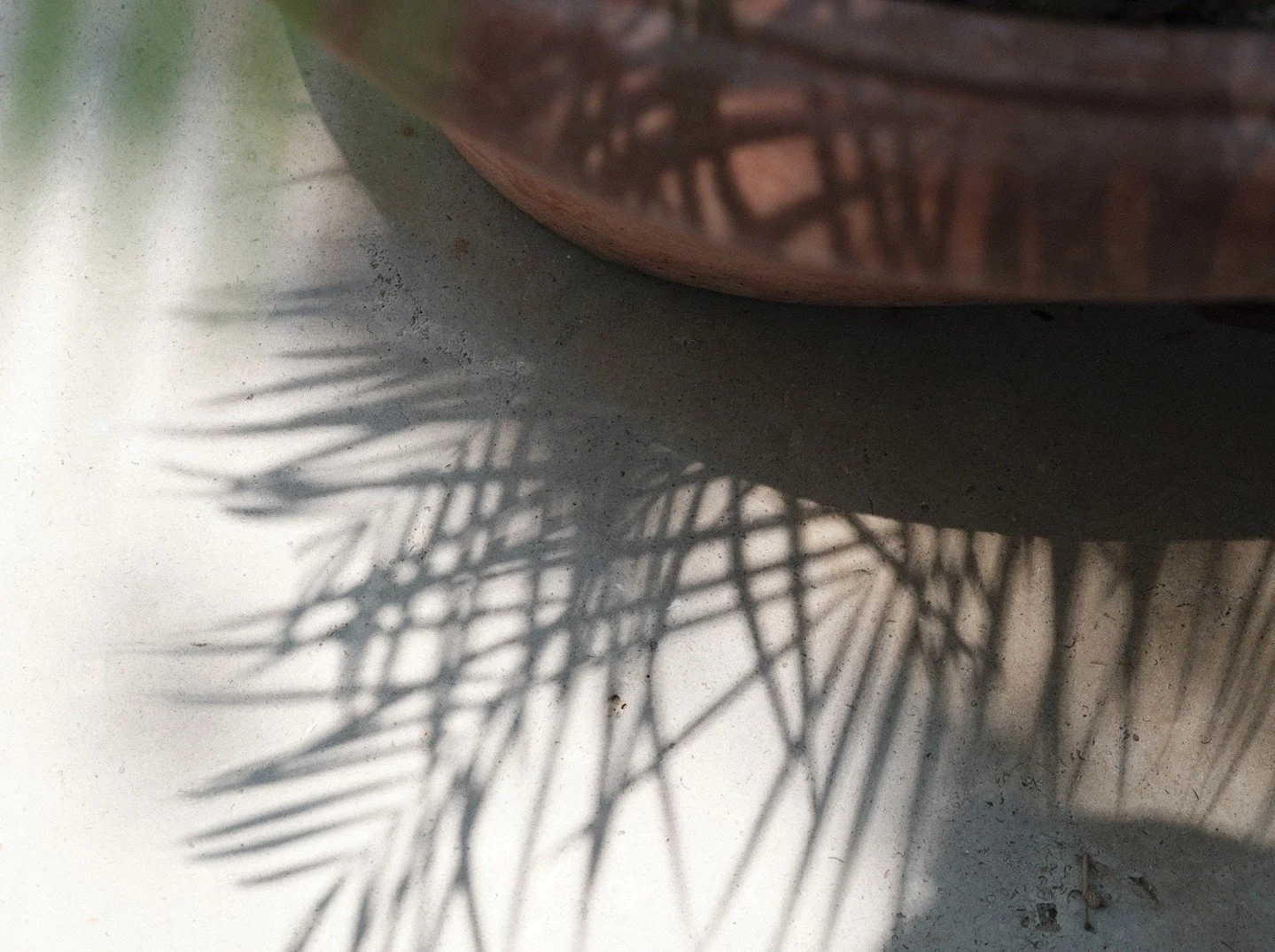 As summer starts to wind down in Texas, the days still hold their heat but we can feel a change is coming. It shows in the shadows as they stretch a little longer. 

In our designs we think of shadows and plan how they shape our experience of the lan