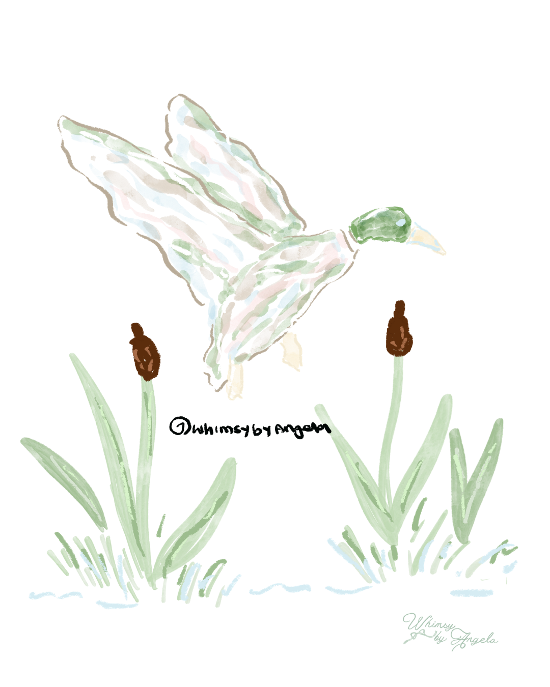 Mallard Run