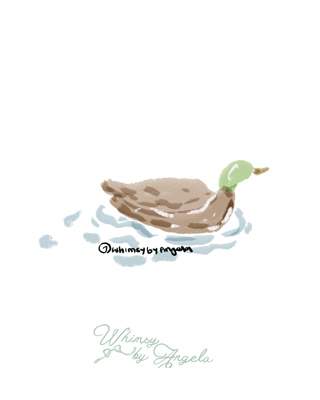 Swimming Duck
