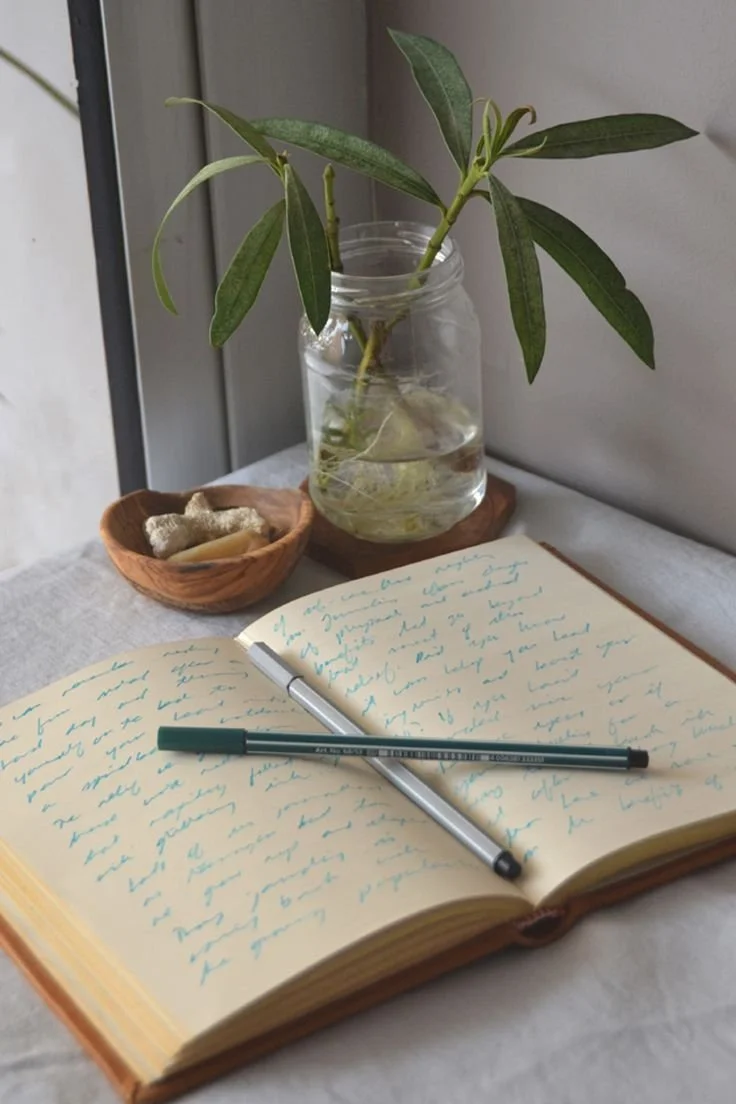 Aprende a practicar journaling.jpeg