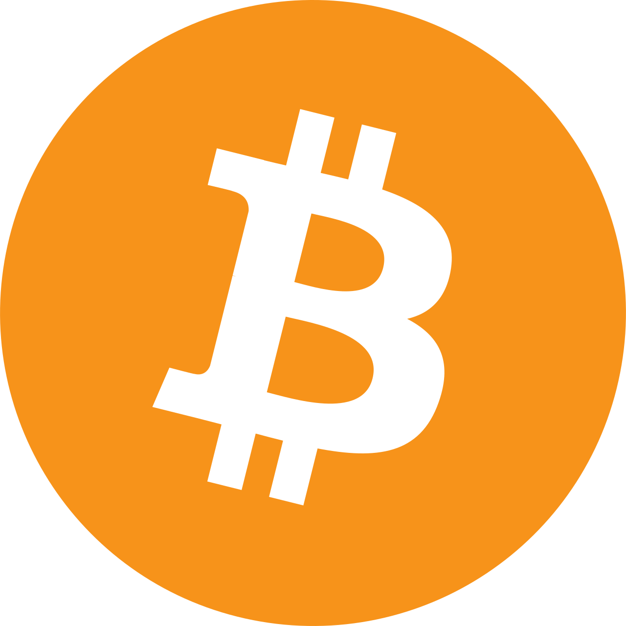 I now accept Bitcoin as a payment method (read for more).
